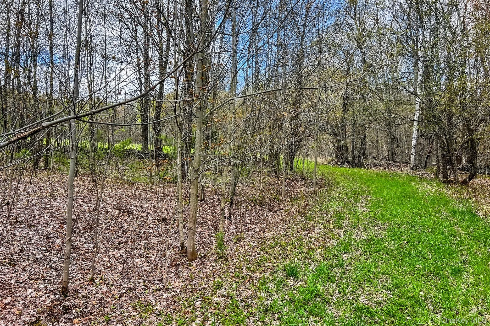 0 Brownell Road, Kortright, NY, ,Land,For Rent,Brownell,0,1003122 0 Brownell Road, Kortright, NY, ,Land,For Rent,Brownell,0,1003122