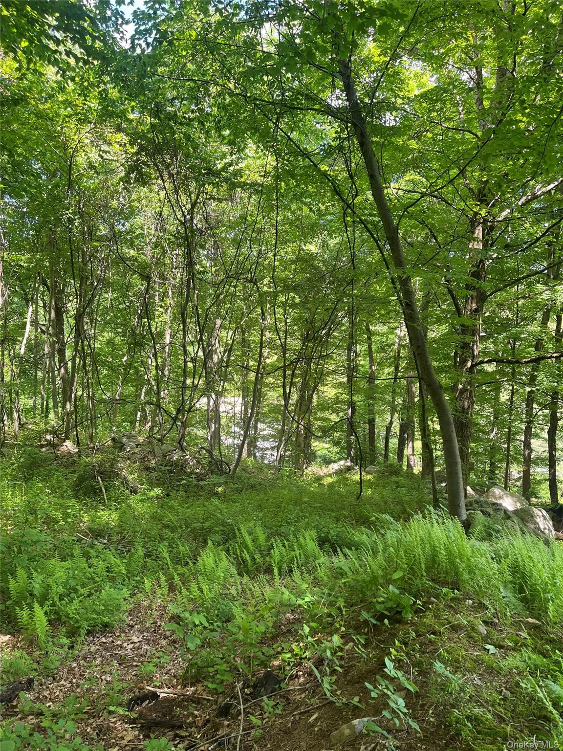 This is where you can build your dream home! This is where you can build your dream home!