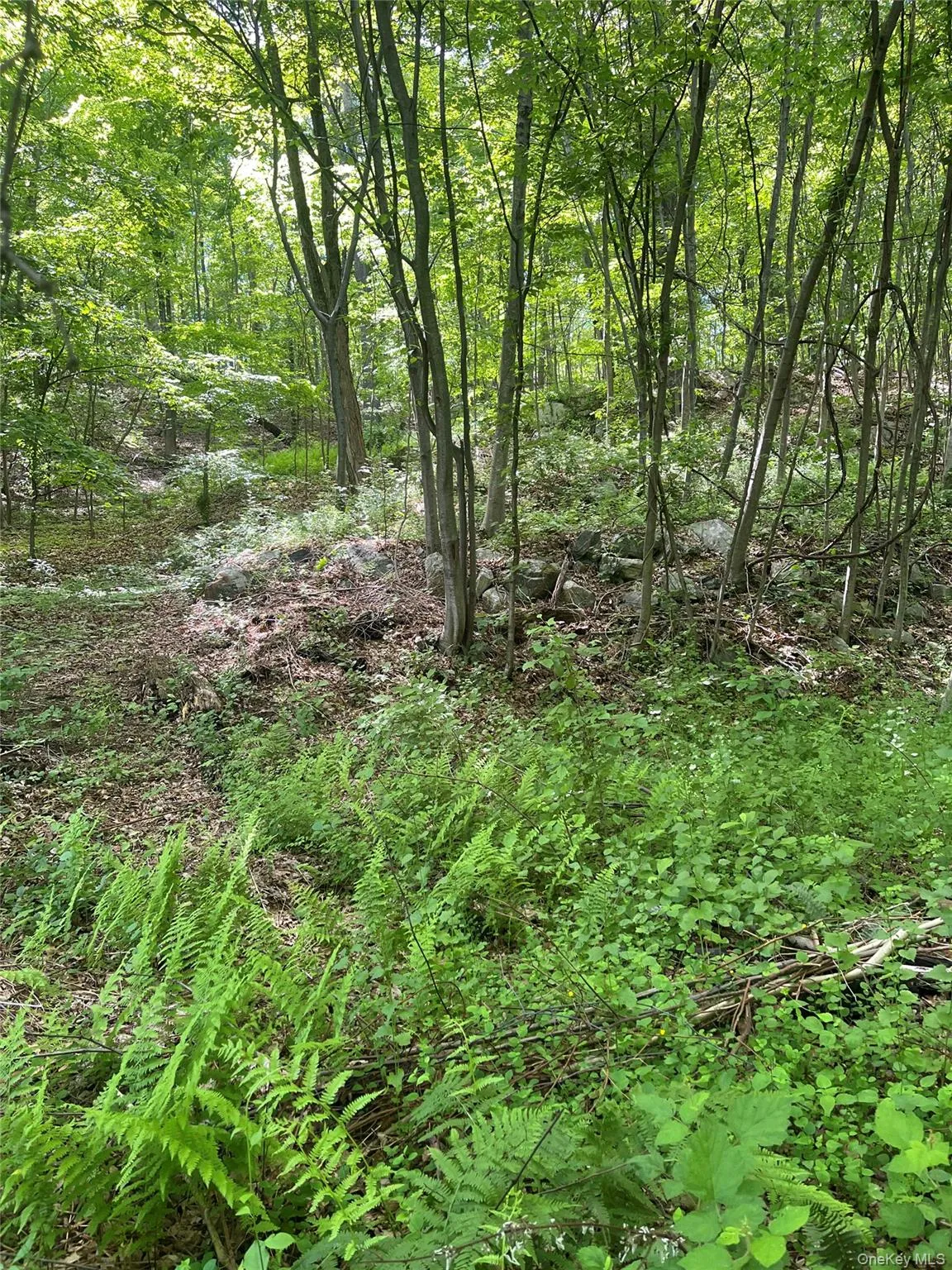 View of possible home site View of possible home site
