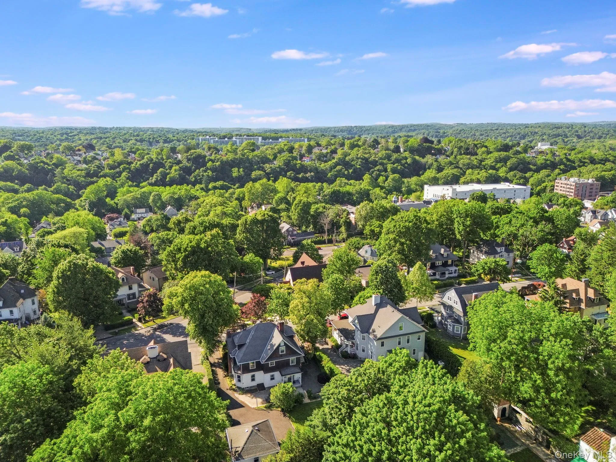 13 Ridgeview Avenue, White Plains, NY, 5 Bedrooms Bedrooms, 12 Rooms Rooms,3 BathroomsBathrooms,Residential,For Rent,Ridgeview,0,1003127 13 Ridgeview Avenue, White Plains, NY, 5 Bedrooms Bedrooms, 12 Rooms Rooms,3 BathroomsBathrooms,Residential,For Rent,Ridgeview,0,1003127