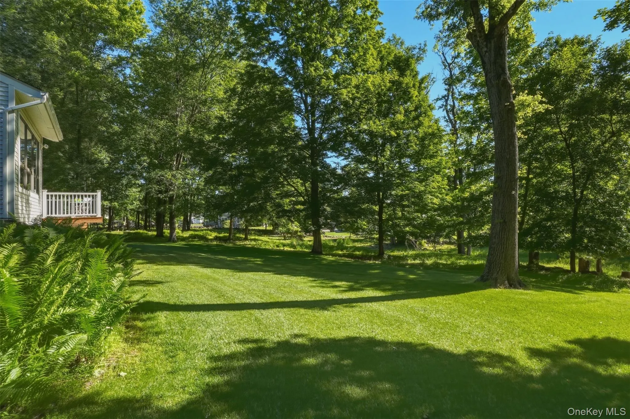 Level yard Level yard
