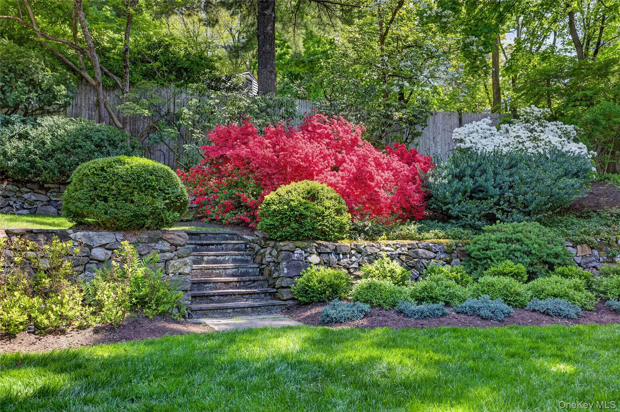 Perennial flowering shrubs and beautifully landscaped grounds in the afternoon sun Perennial flowering shrubs and beautifully landscaped grounds in the afternoon sun