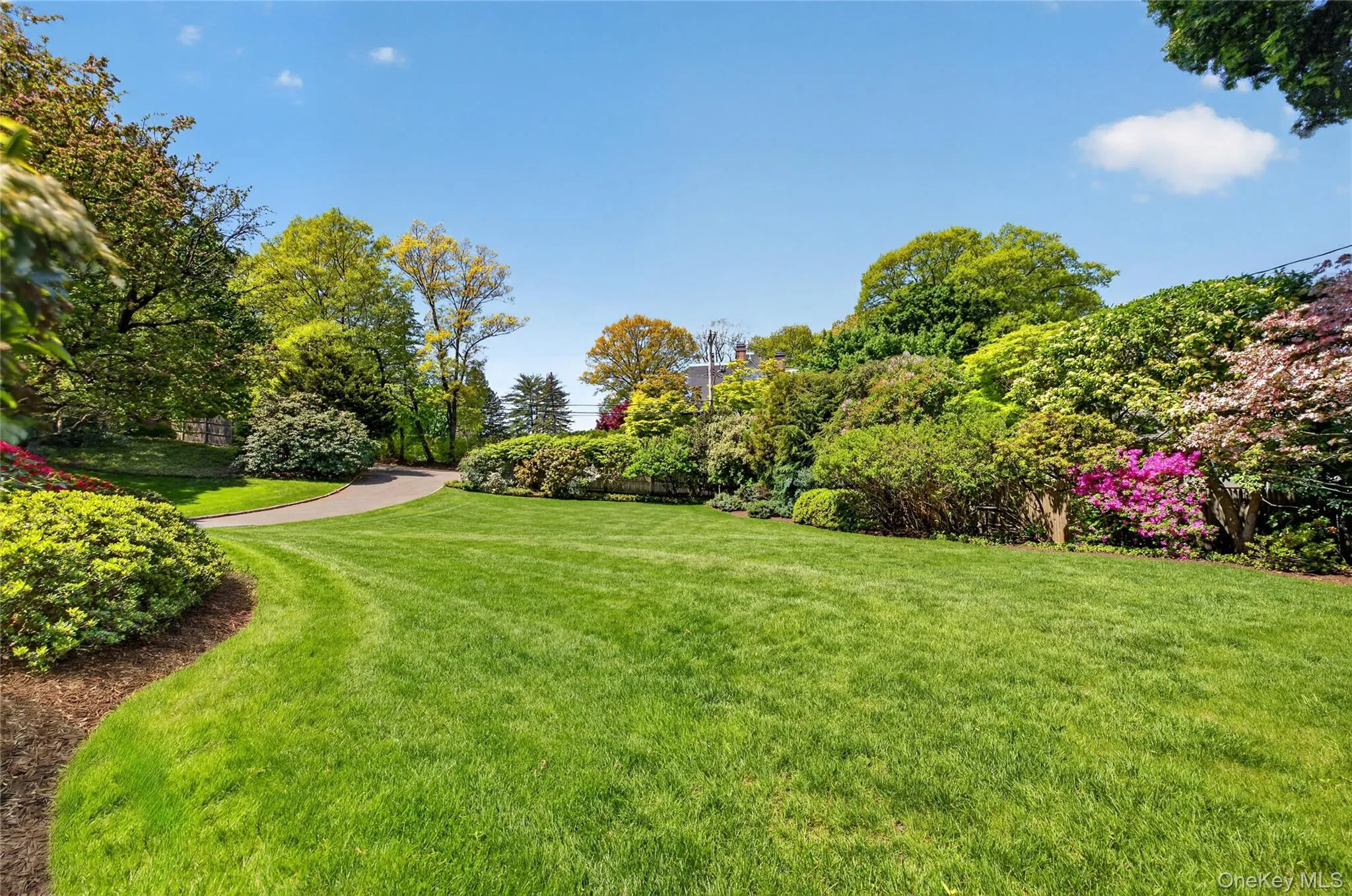 Sweeping lawns and winding driveway Sweeping lawns and winding driveway