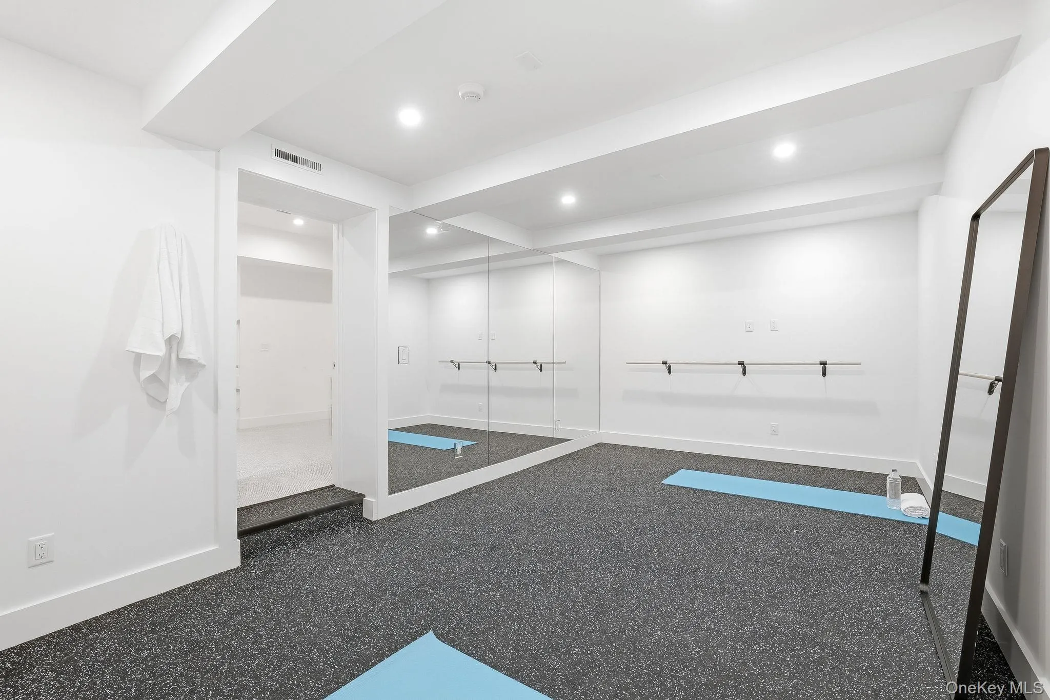 Lower-Level Exercise Room/Home Gym Lower-Level Exercise Room/Home Gym