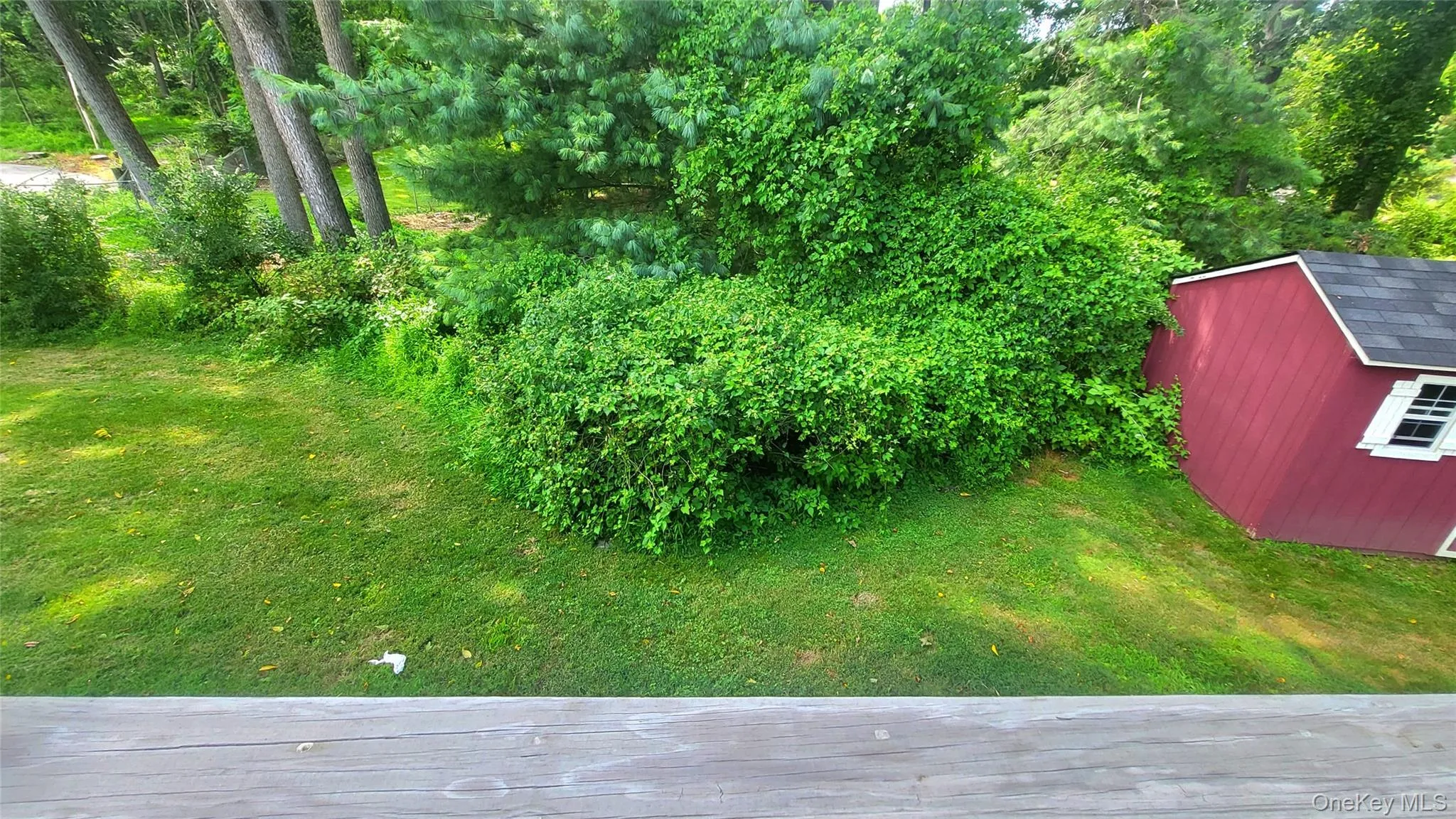 Rear view of yard off deck with a storage shed Rear view of yard off deck with a storage shed