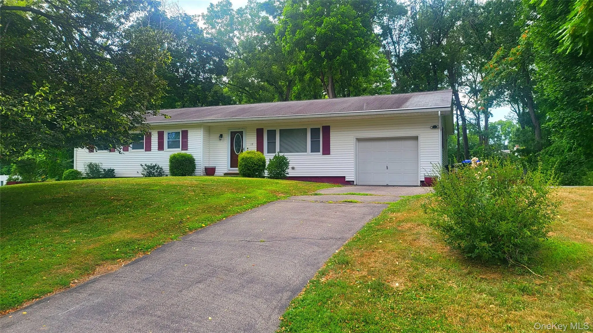 Garage, front lawn, and driveway Garage, front lawn, and driveway