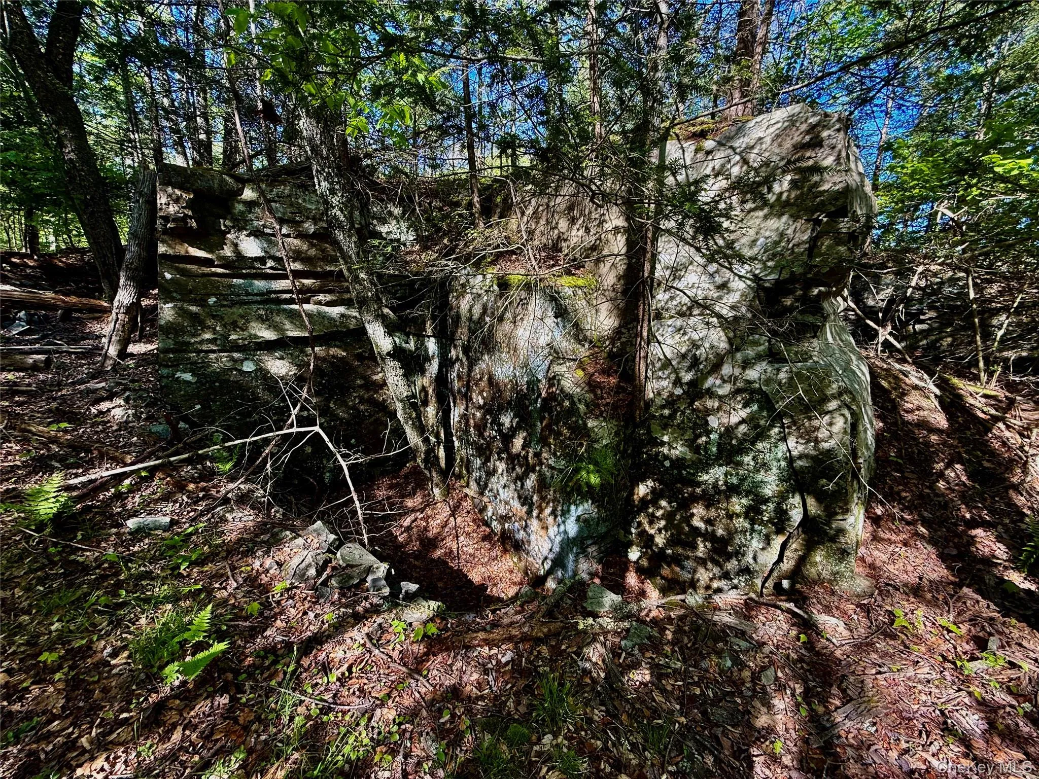 Rock outcropping Rock outcropping