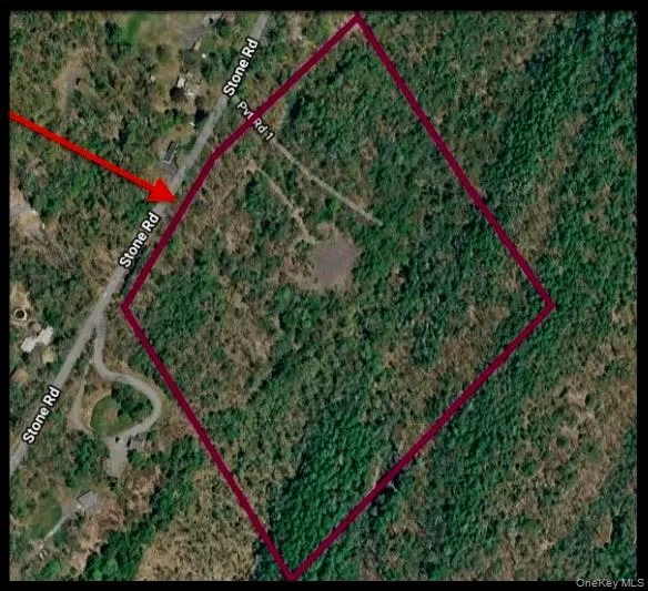 101 Stone Road, Hurley, NY, ,Land,For Rent,Stone,0,1003166 101 Stone Road, Hurley, NY, ,Land,For Rent,Stone,0,1003166