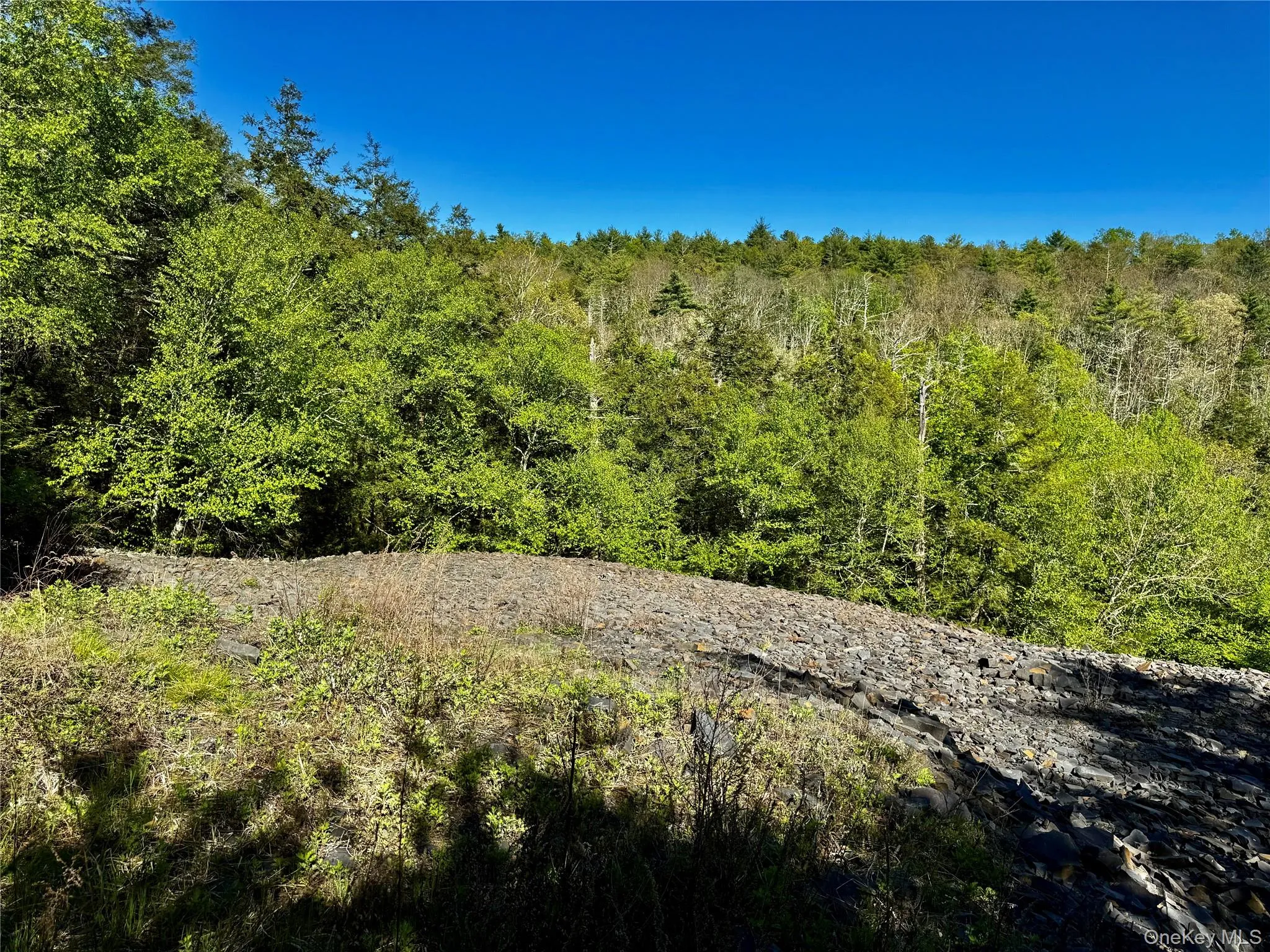 101 Stone Road, Hurley, NY, ,Land,For Rent,Stone,0,1003166 101 Stone Road, Hurley, NY, ,Land,For Rent,Stone,0,1003166