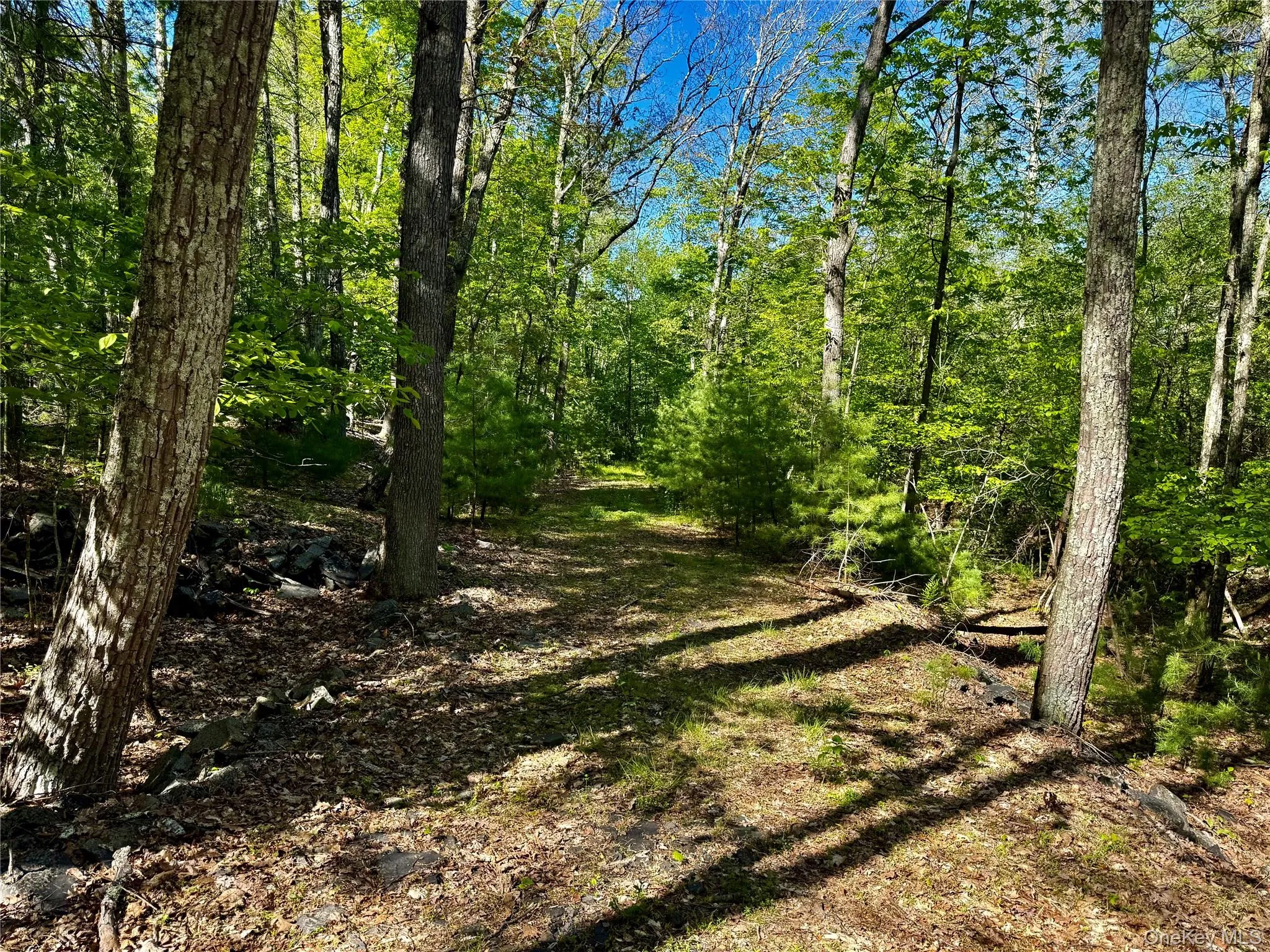 101 Stone Road, Hurley, NY, ,Land,For Rent,Stone,0,1003166 101 Stone Road, Hurley, NY, ,Land,For Rent,Stone,0,1003166