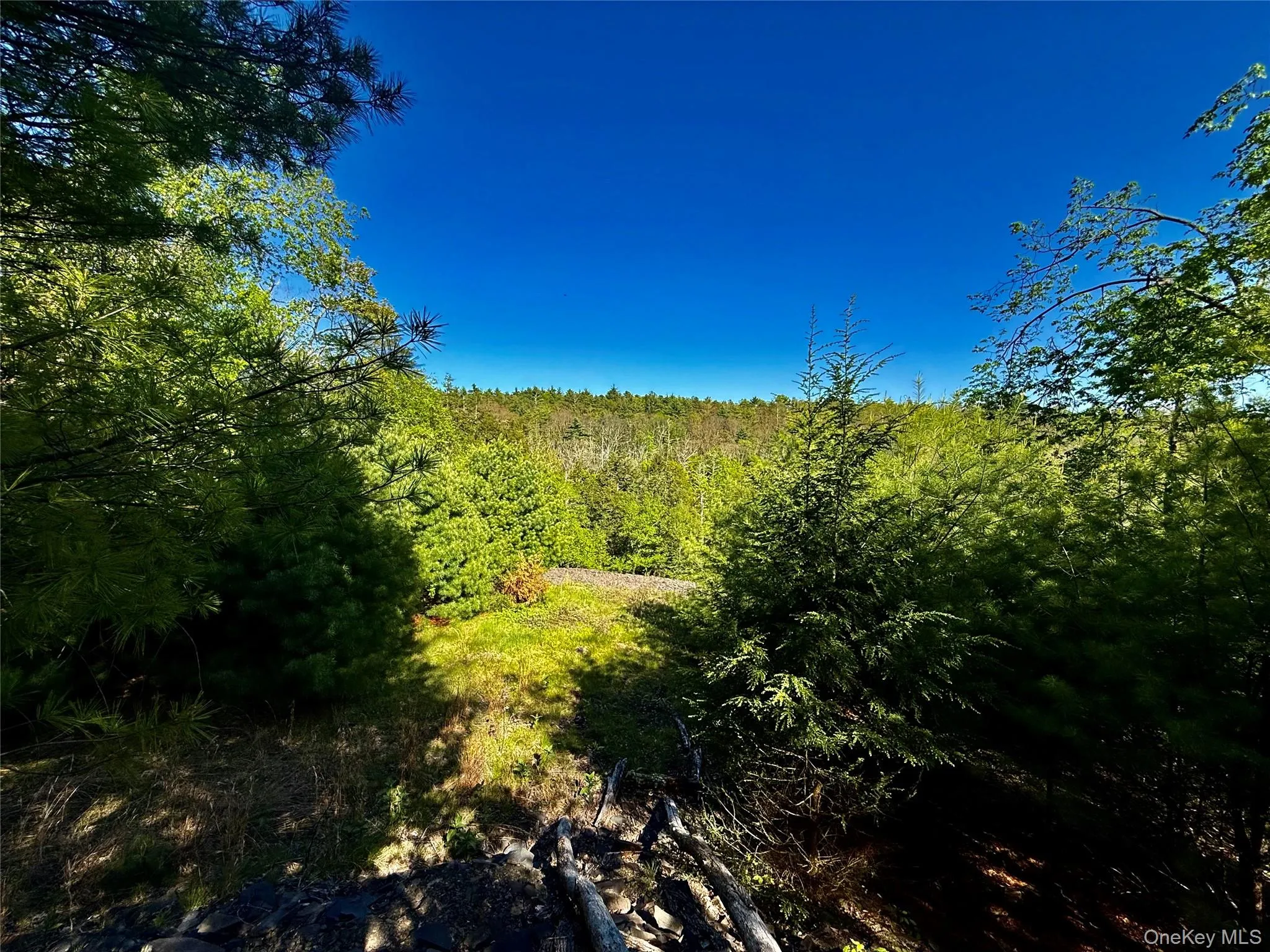 101 Stone Road, Hurley, NY, ,Land,For Rent,Stone,0,1003166 101 Stone Road, Hurley, NY, ,Land,For Rent,Stone,0,1003166