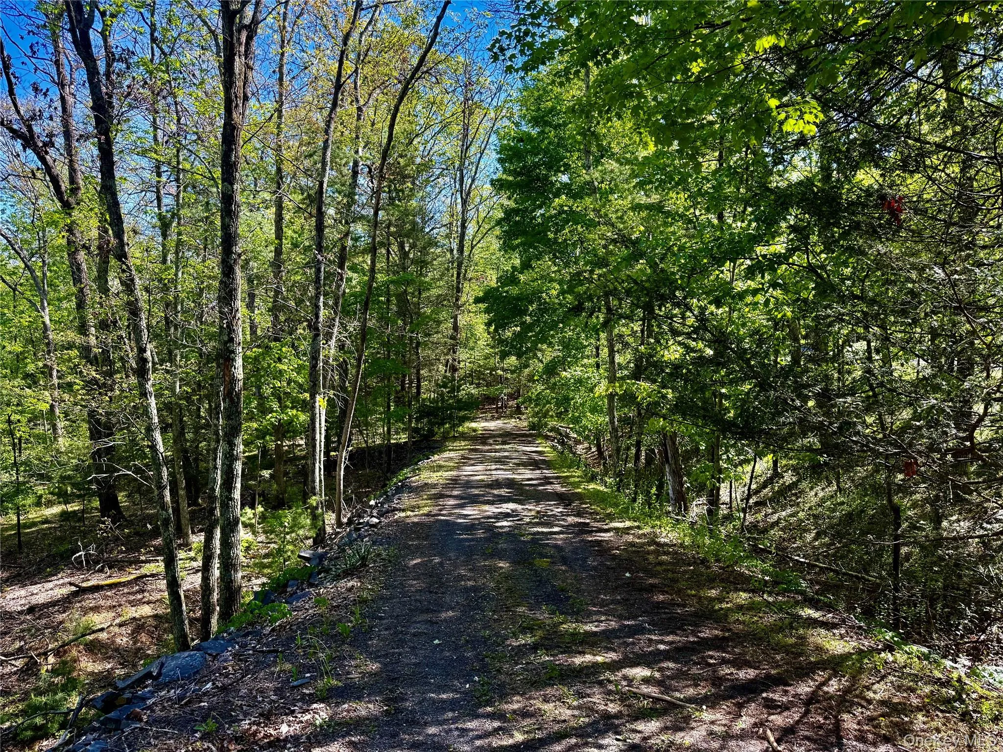Road into the property Road into the property
