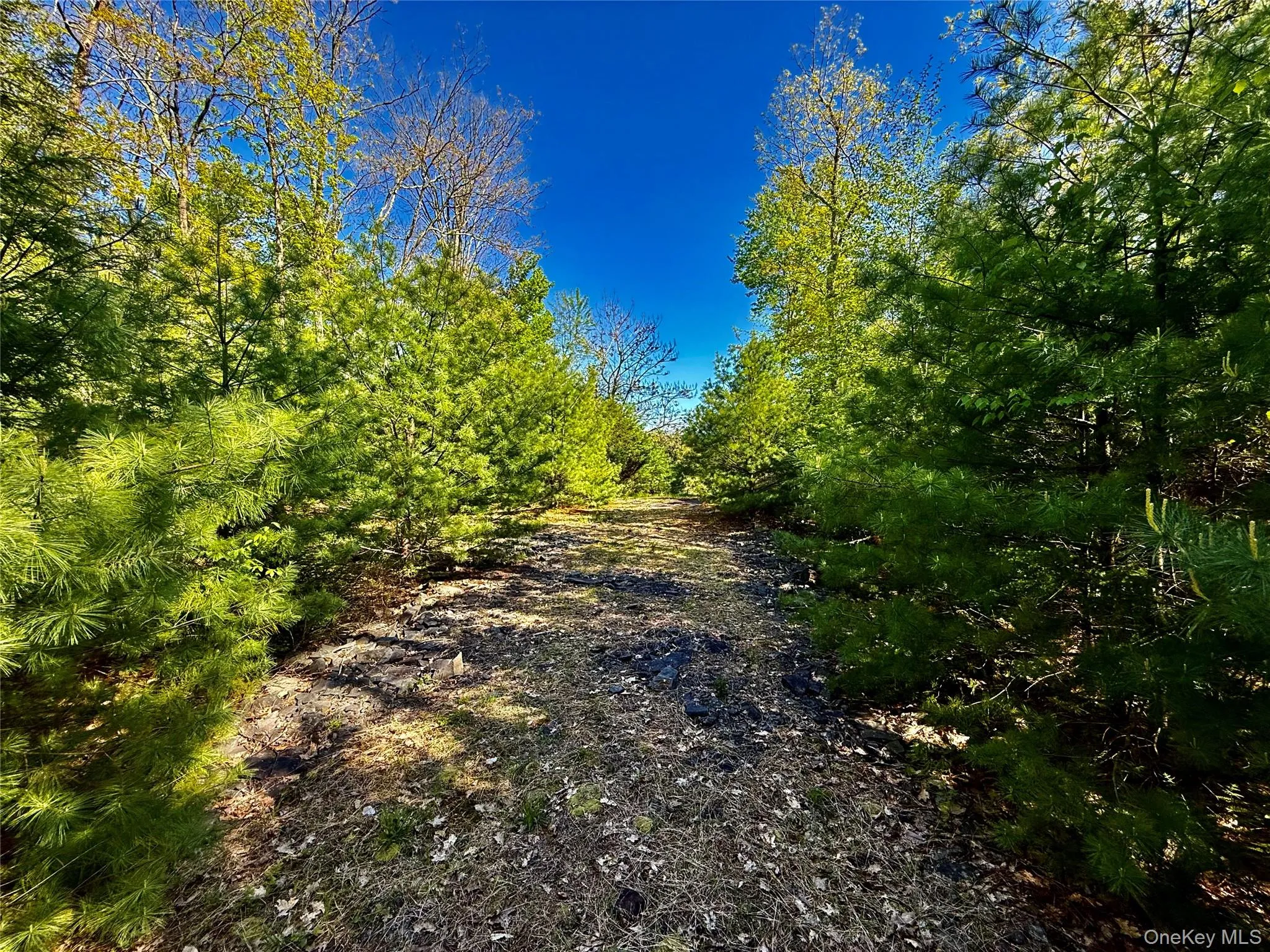 Driveway Driveway