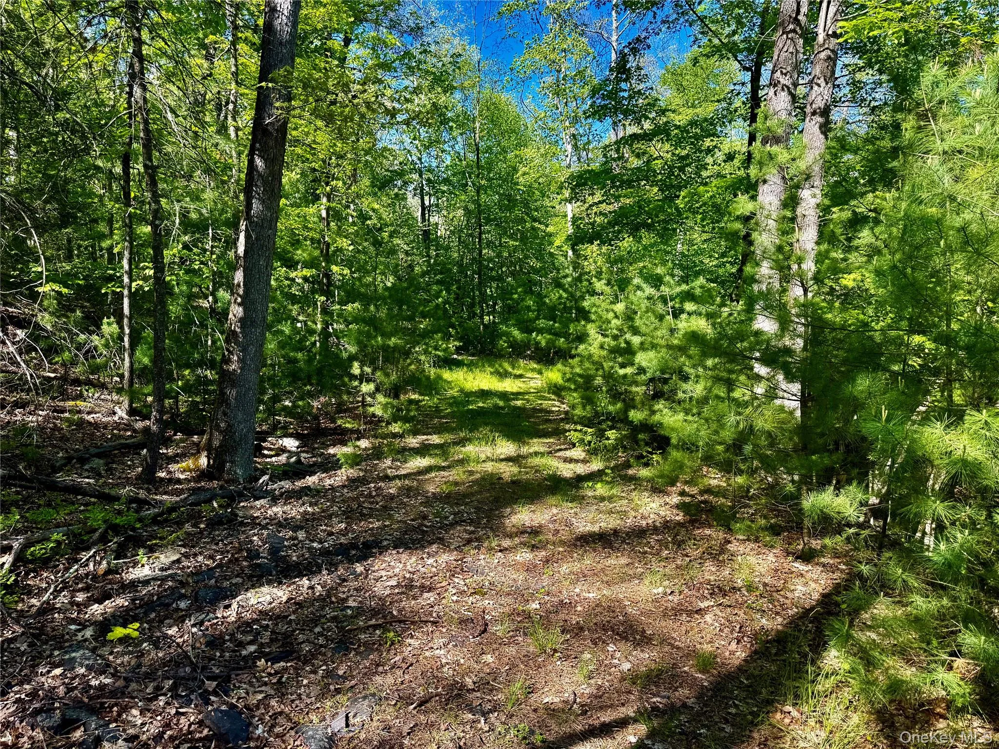 101 Stone Road, Hurley, NY, ,Land,For Rent,Stone,0,1003166 101 Stone Road, Hurley, NY, ,Land,For Rent,Stone,0,1003166