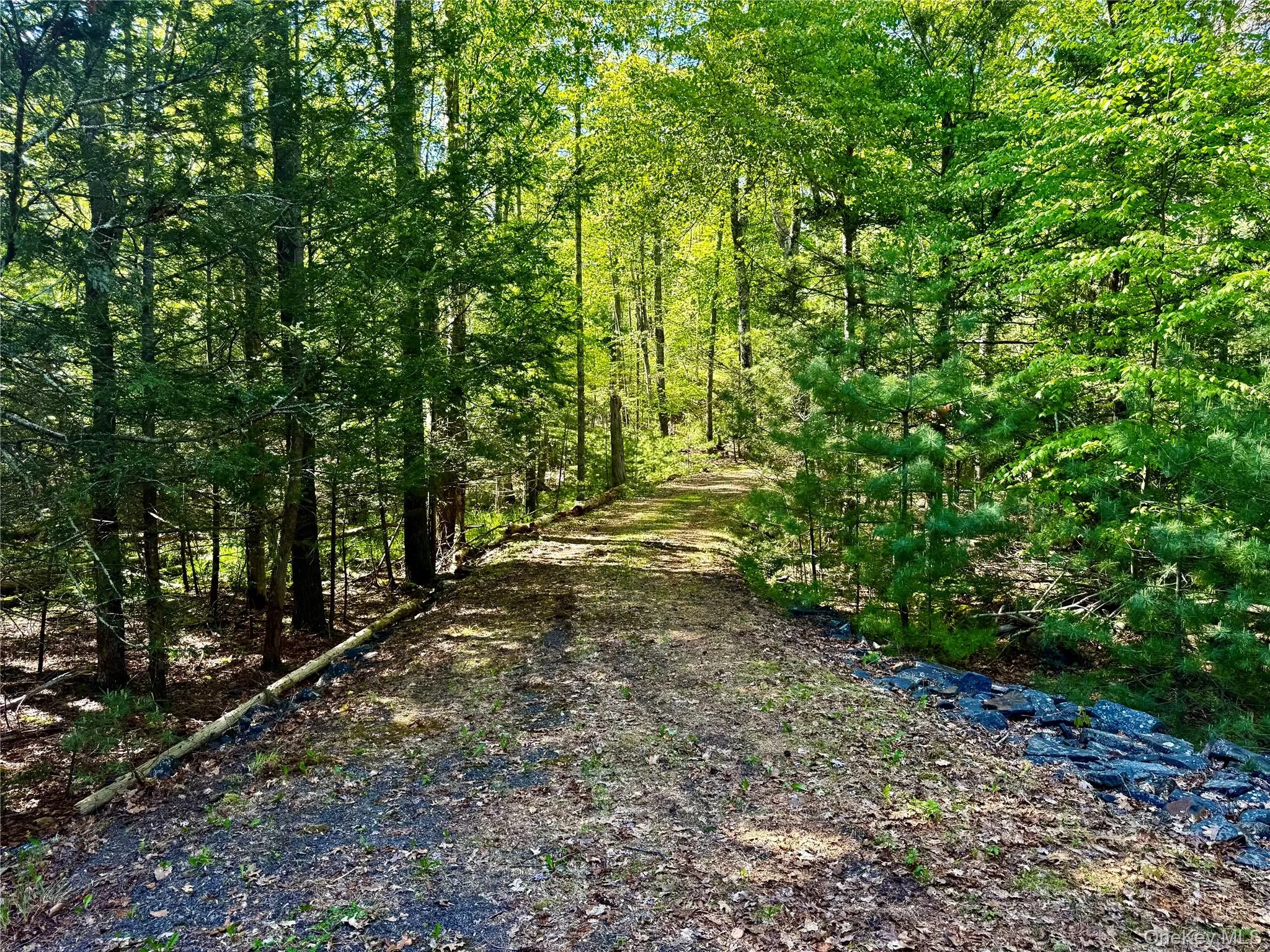 Driveway Driveway
