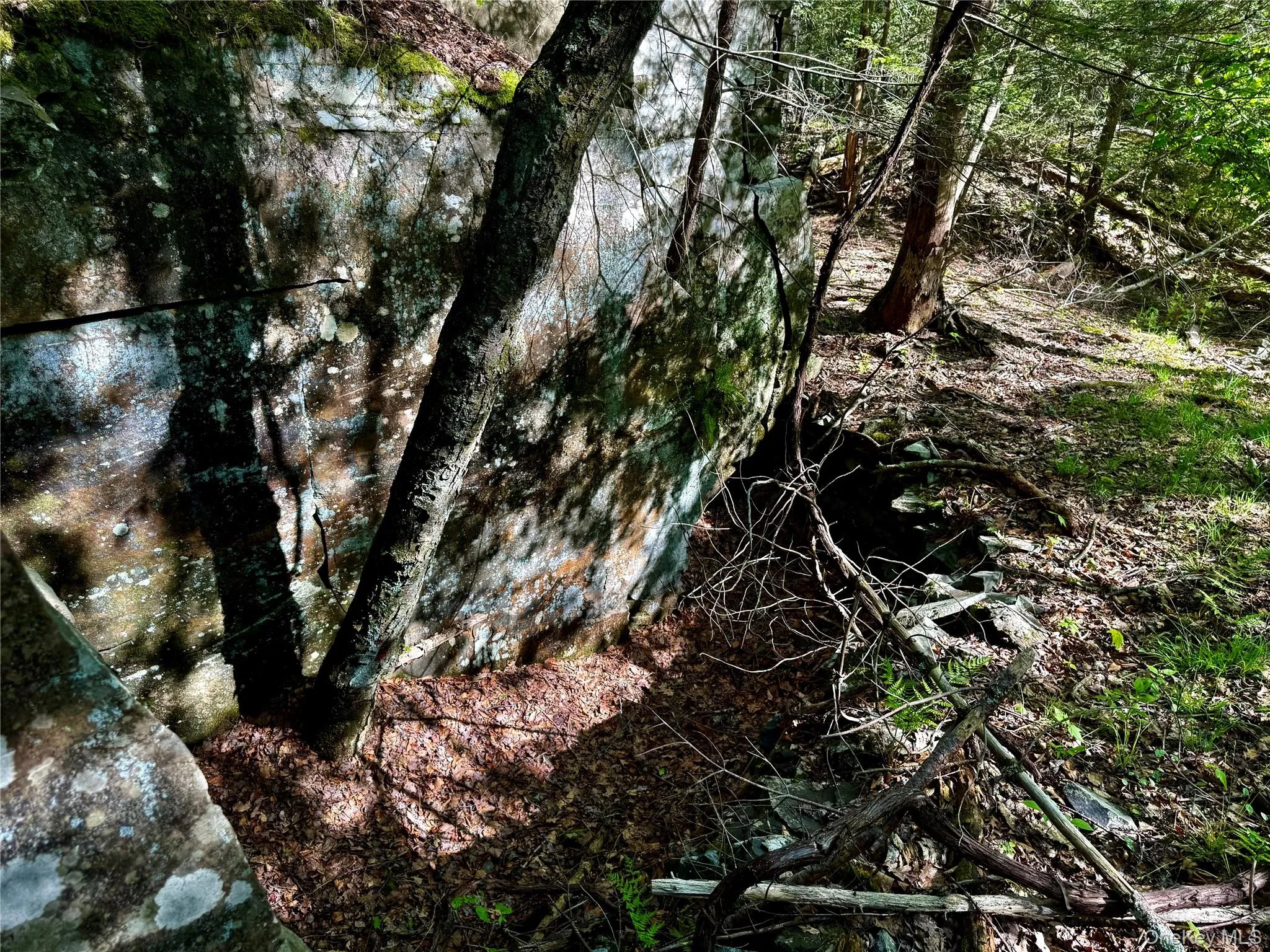 Rock outcropping Rock outcropping