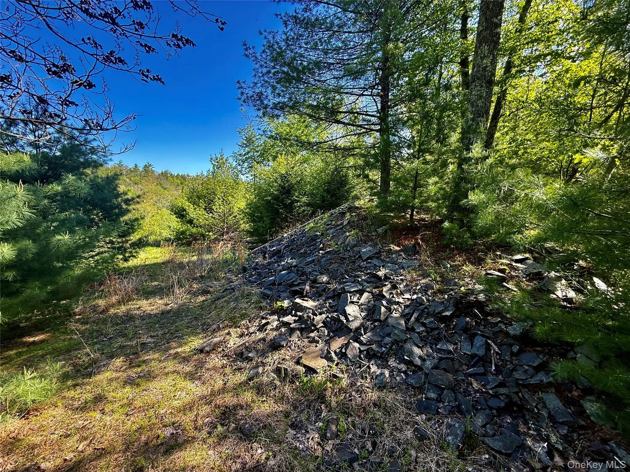 101 Stone Road, Hurley, NY, ,Land,For Rent,Stone,0,1003166 101 Stone Road, Hurley, NY, ,Land,For Rent,Stone,0,1003166