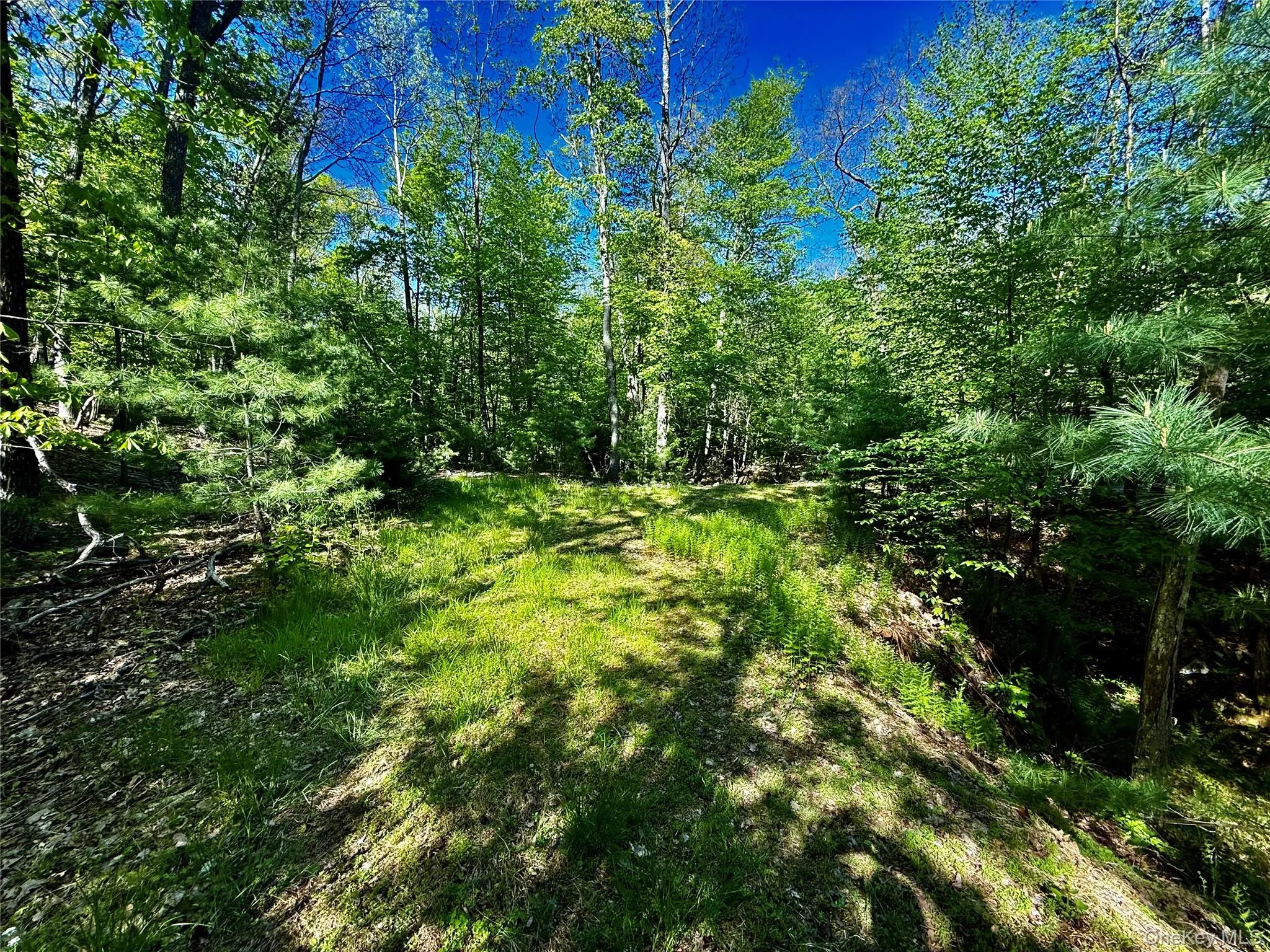 101 Stone Road, Hurley, NY, ,Land,For Rent,Stone,0,1003166 101 Stone Road, Hurley, NY, ,Land,For Rent,Stone,0,1003166