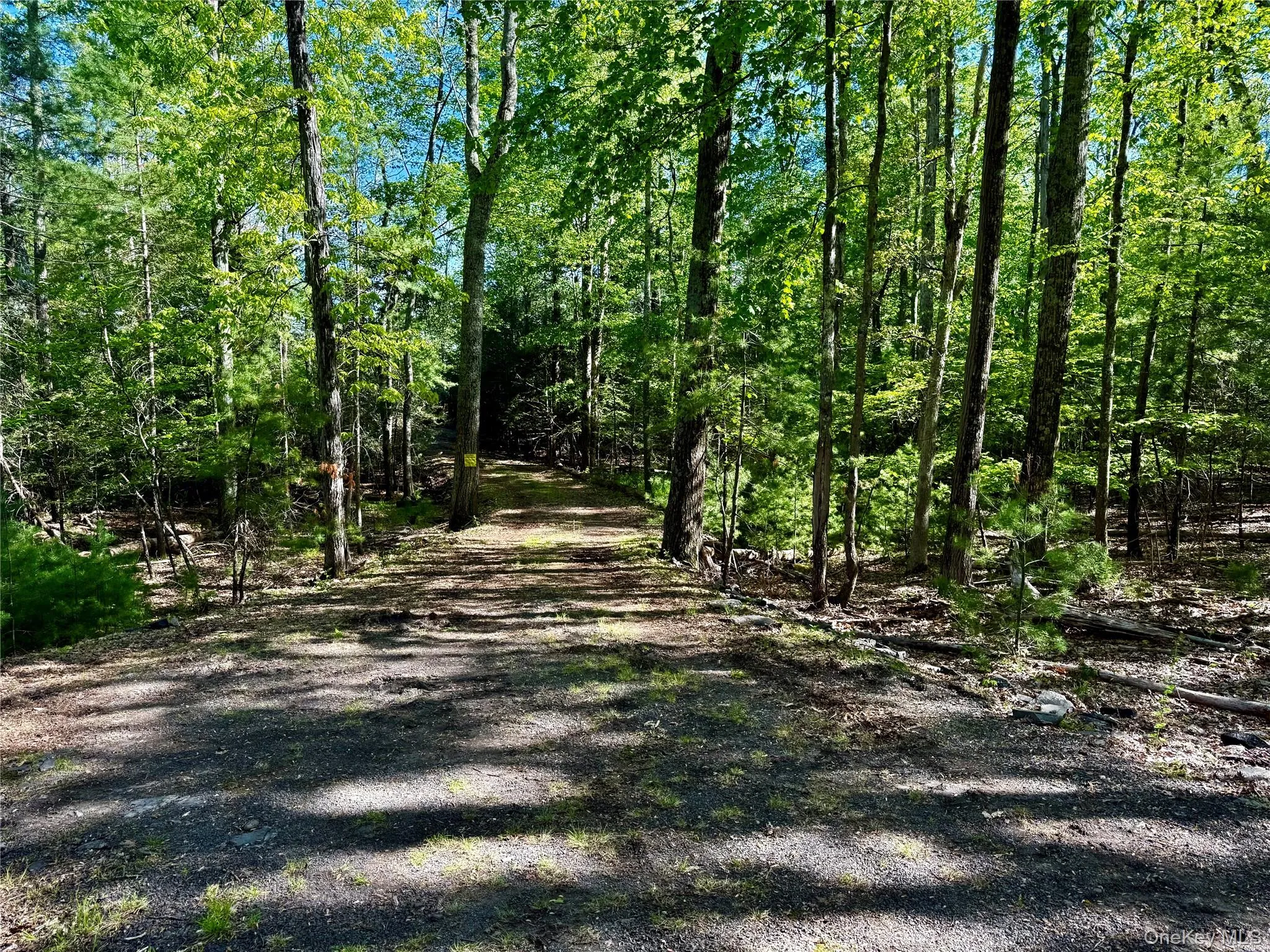 Driveway Driveway