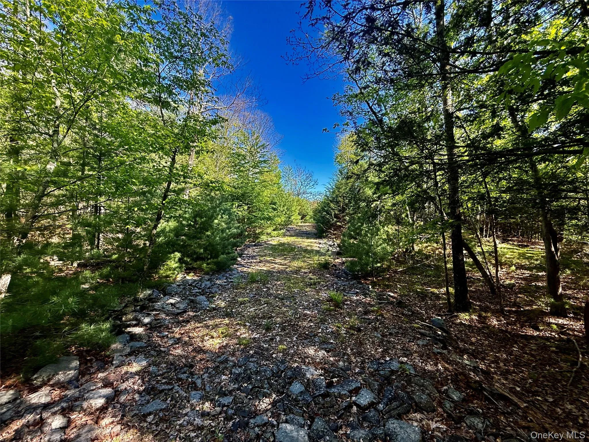 Driveway Driveway