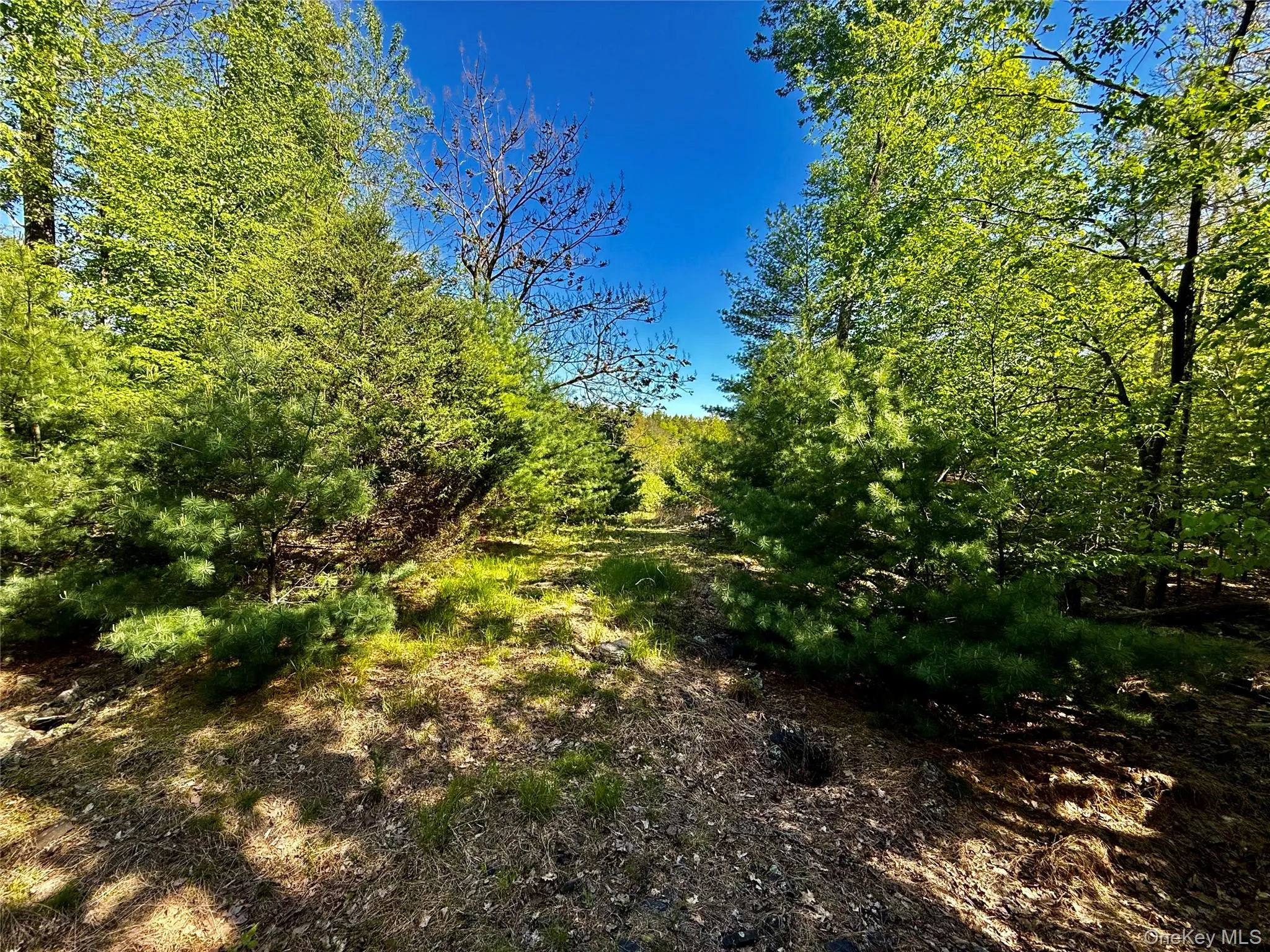 101 Stone Road, Hurley, NY, ,Land,For Rent,Stone,0,1003166 101 Stone Road, Hurley, NY, ,Land,For Rent,Stone,0,1003166
