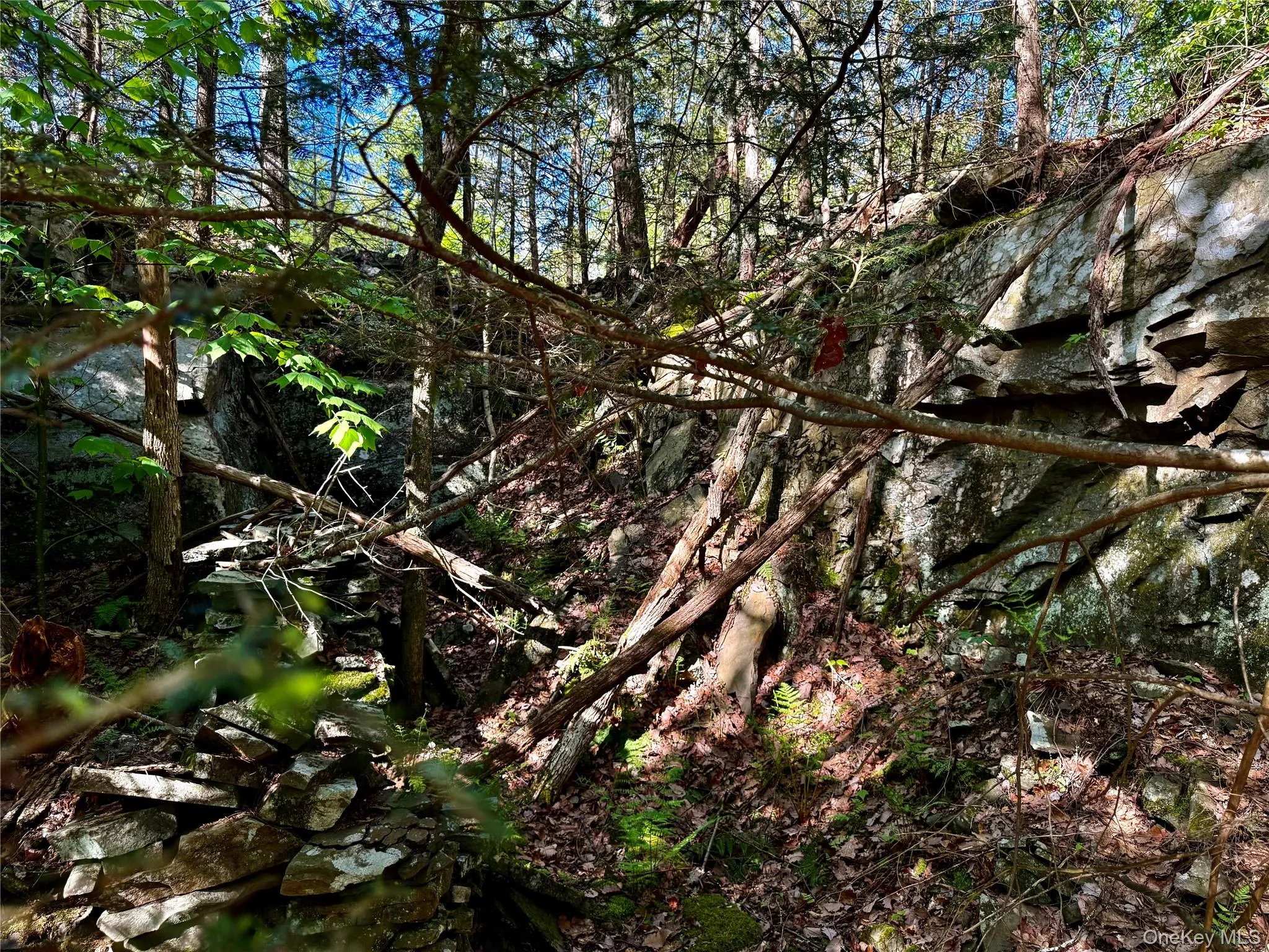 Gorge Gorge