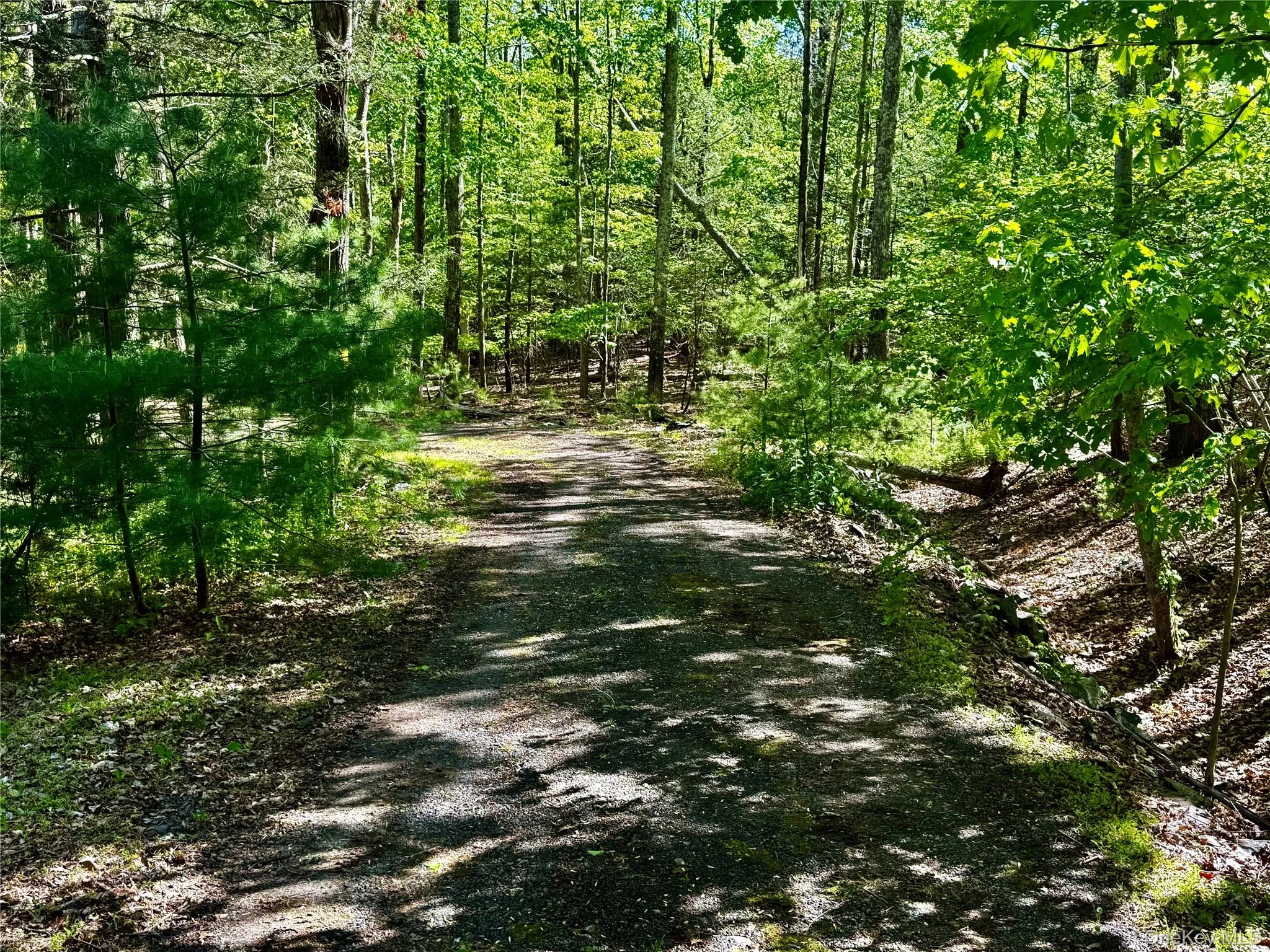 Driveway Driveway