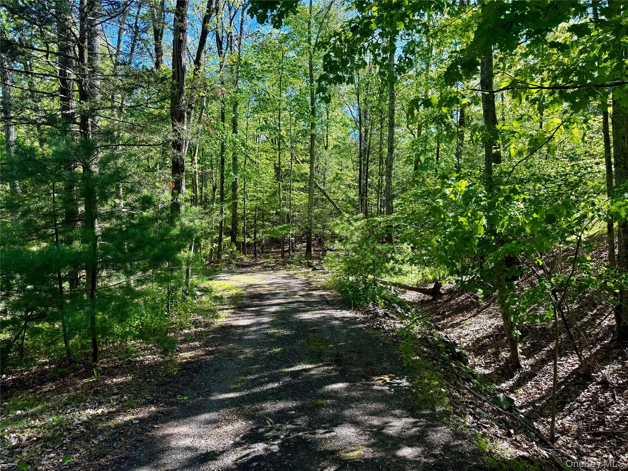 Driveway Driveway