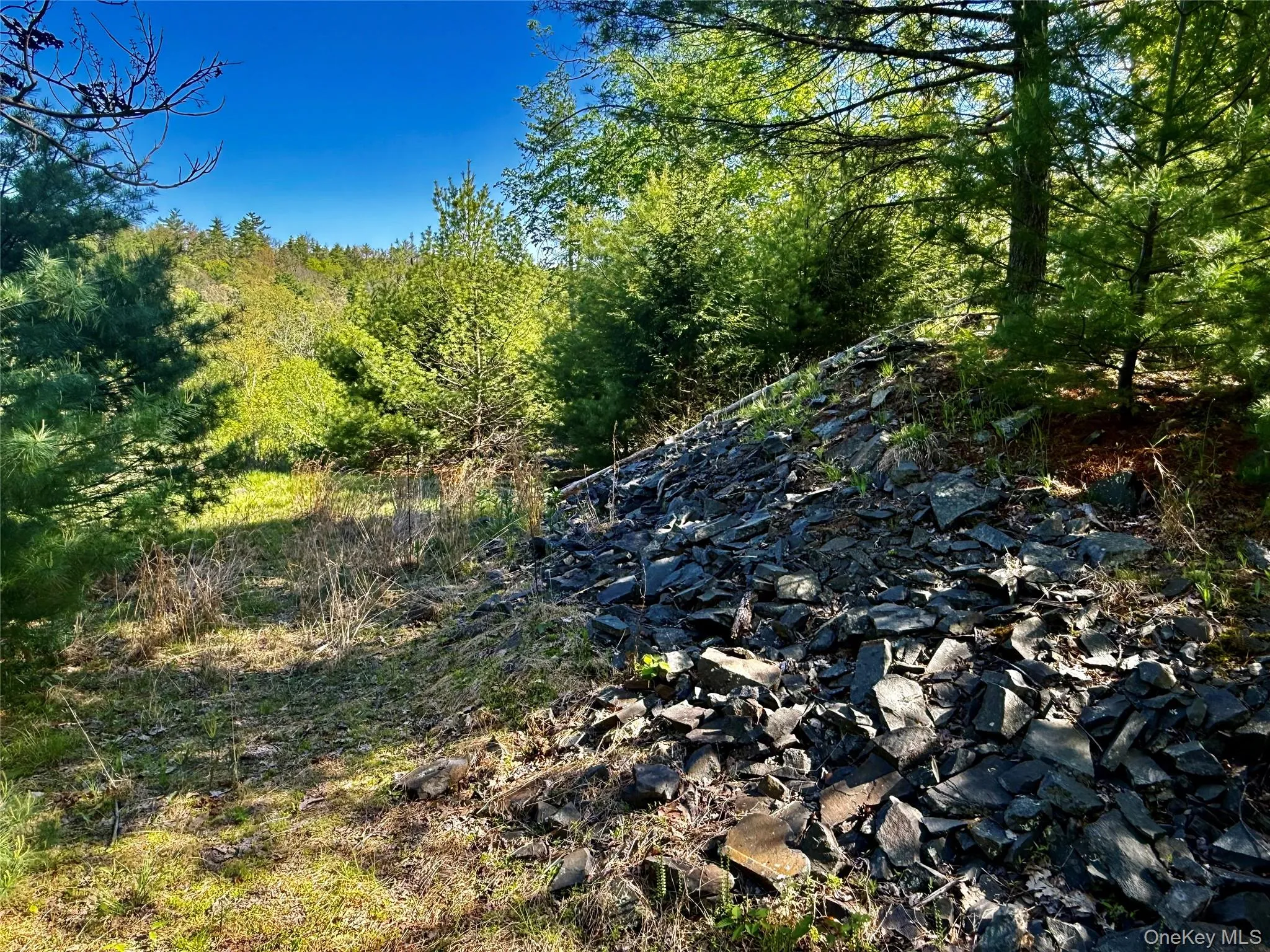 101 Stone Road, Hurley, NY, ,Land,For Rent,Stone,0,1003166 101 Stone Road, Hurley, NY, ,Land,For Rent,Stone,0,1003166