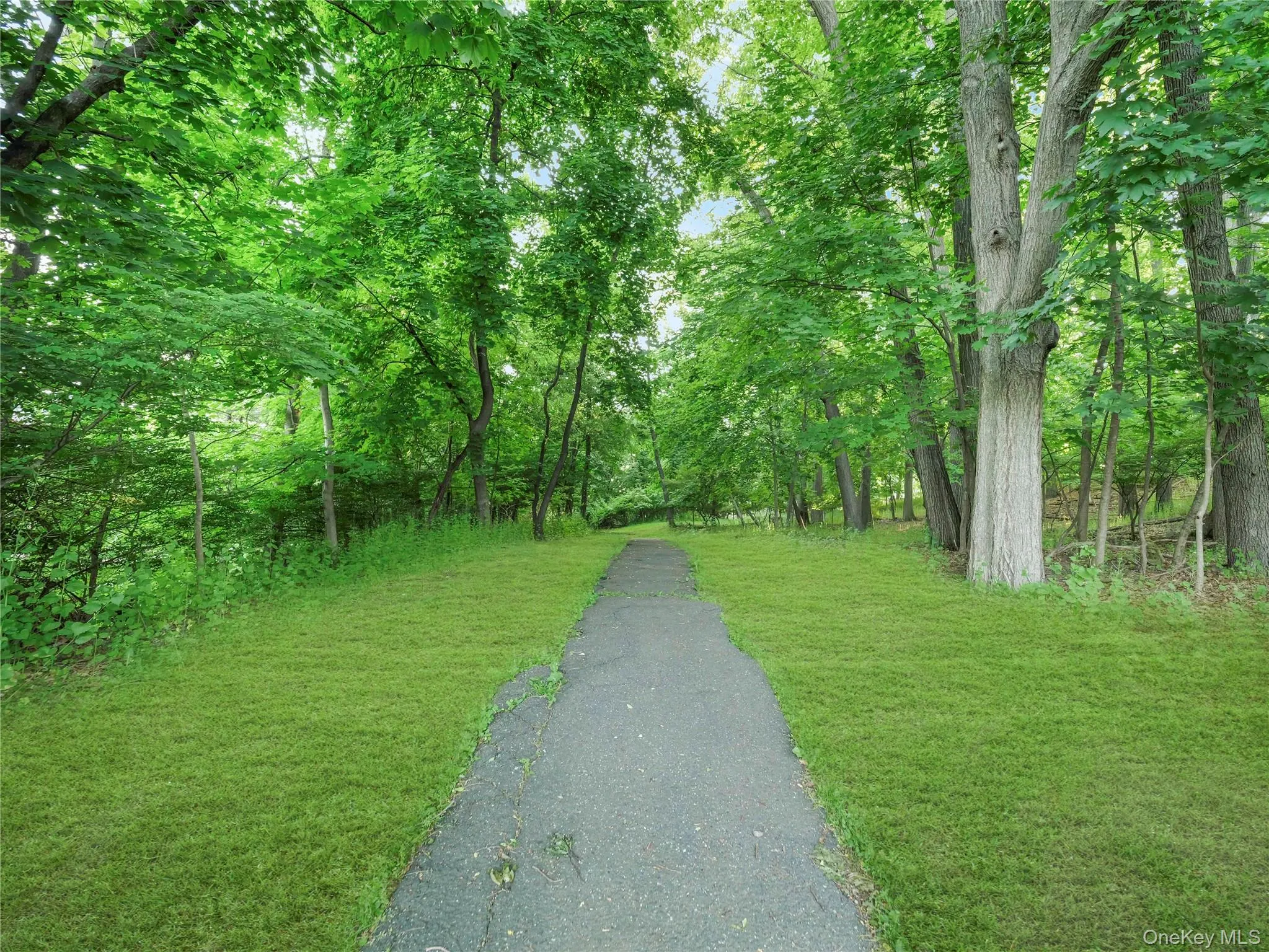 1 Doxbury Lane, Ramapo, NY, 1 Bedroom Bedrooms, 5 Rooms Rooms,1 BathroomBathrooms,Residential,For Rent,Doxbury,0,1003179 1 Doxbury Lane, Ramapo, NY, 1 Bedroom Bedrooms, 5 Rooms Rooms,1 BathroomBathrooms,Residential,For Rent,Doxbury,0,1003179