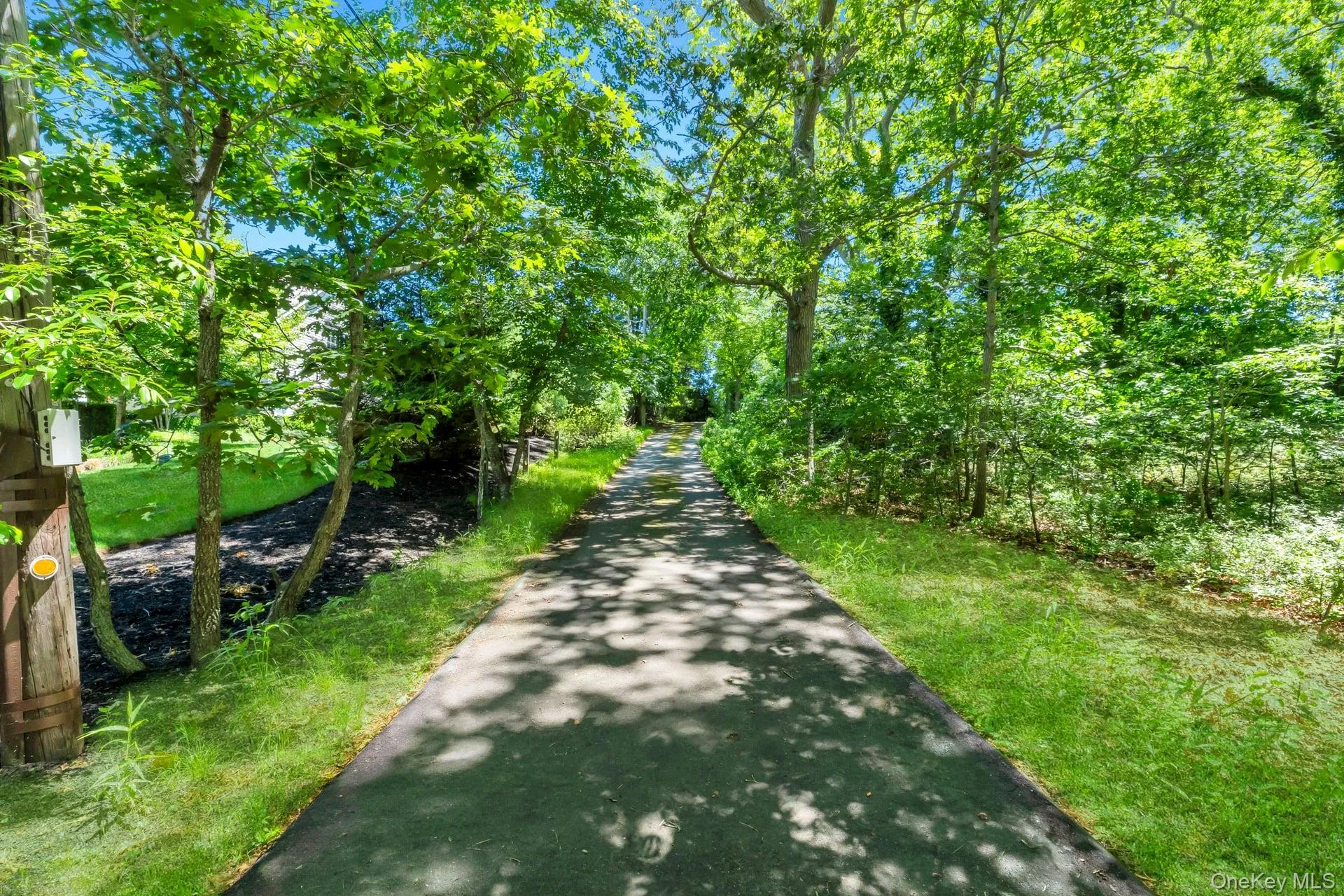 64 Cove Hollow Road, East Hampton, NY, 2 Bedrooms Bedrooms, 6 Rooms Rooms,1 BathroomBathrooms,Residential,For Rent,Cove Hollow,0,1003230 64 Cove Hollow Road, East Hampton, NY, 2 Bedrooms Bedrooms, 6 Rooms Rooms,1 BathroomBathrooms,Residential,For Rent,Cove Hollow,0,1003230