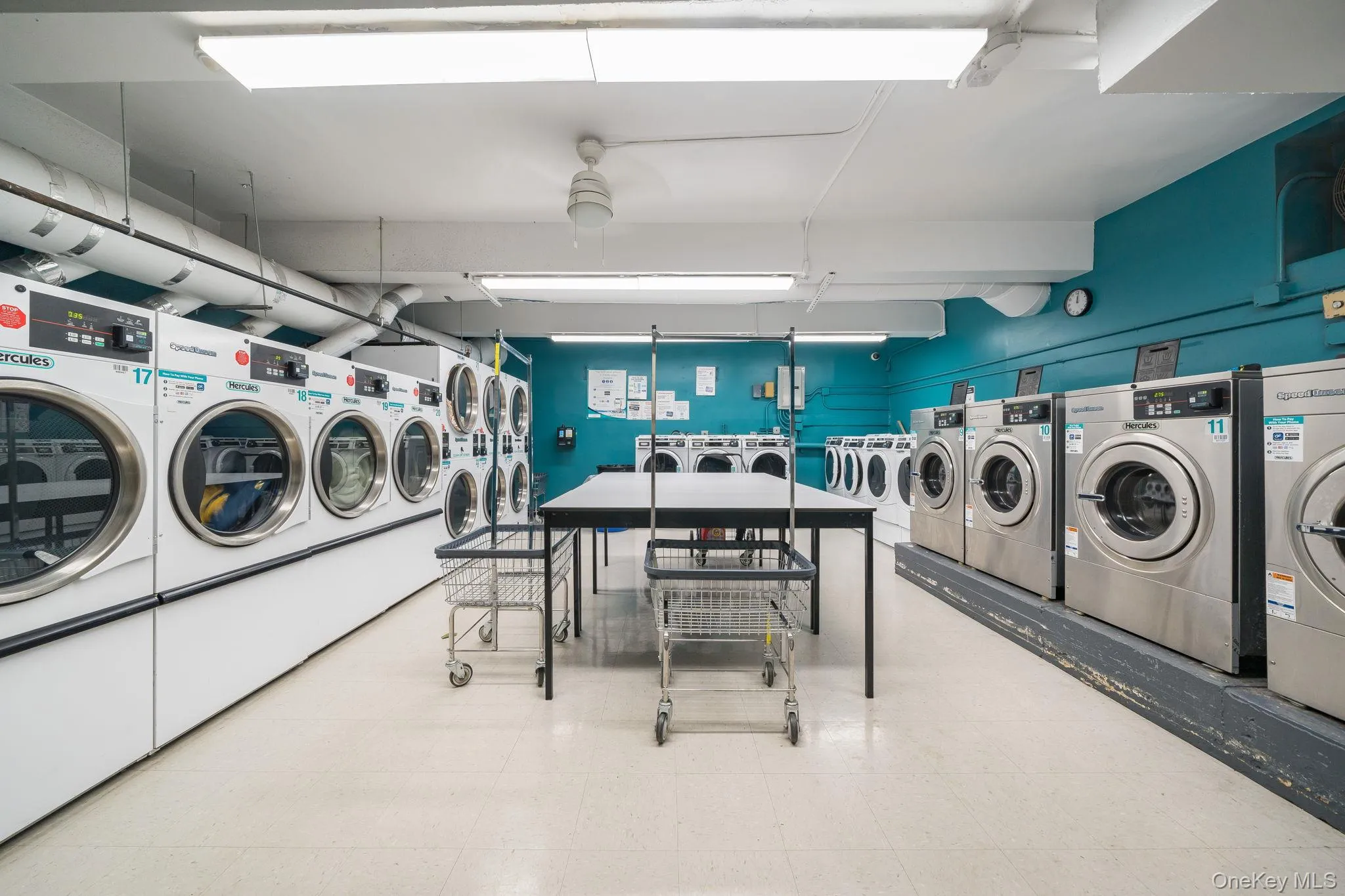 84-01 Main Street, New York, NY, 1 Bedroom Bedrooms, 3 Rooms Rooms,1 BathroomBathrooms,Residential,For Rent,Main,0,1003235 84-01 Main Street, New York, NY, 1 Bedroom Bedrooms, 3 Rooms Rooms,1 BathroomBathrooms,Residential,For Rent,Main,0,1003235