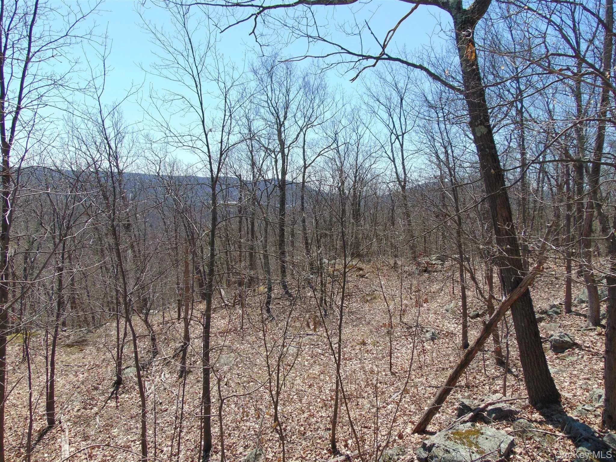 382 CEDAR HILL Road, Wappinger, NY, ,Land,For Rent,CEDAR HILL,0,1003271 382 CEDAR HILL Road, Wappinger, NY, ,Land,For Rent,CEDAR HILL,0,1003271