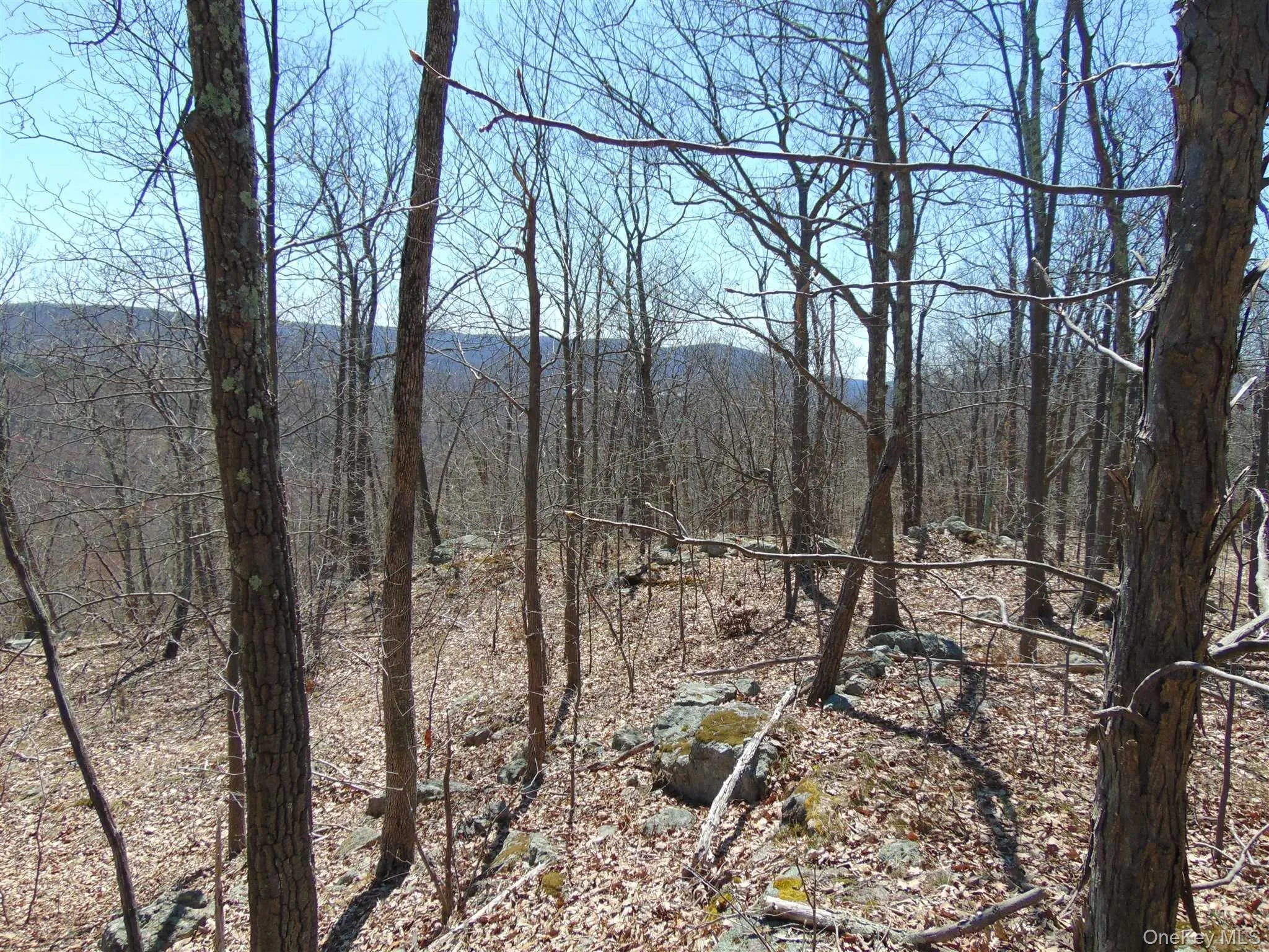 382 CEDAR HILL Road, Wappinger, NY, ,Land,For Rent,CEDAR HILL,0,1003271 382 CEDAR HILL Road, Wappinger, NY, ,Land,For Rent,CEDAR HILL,0,1003271