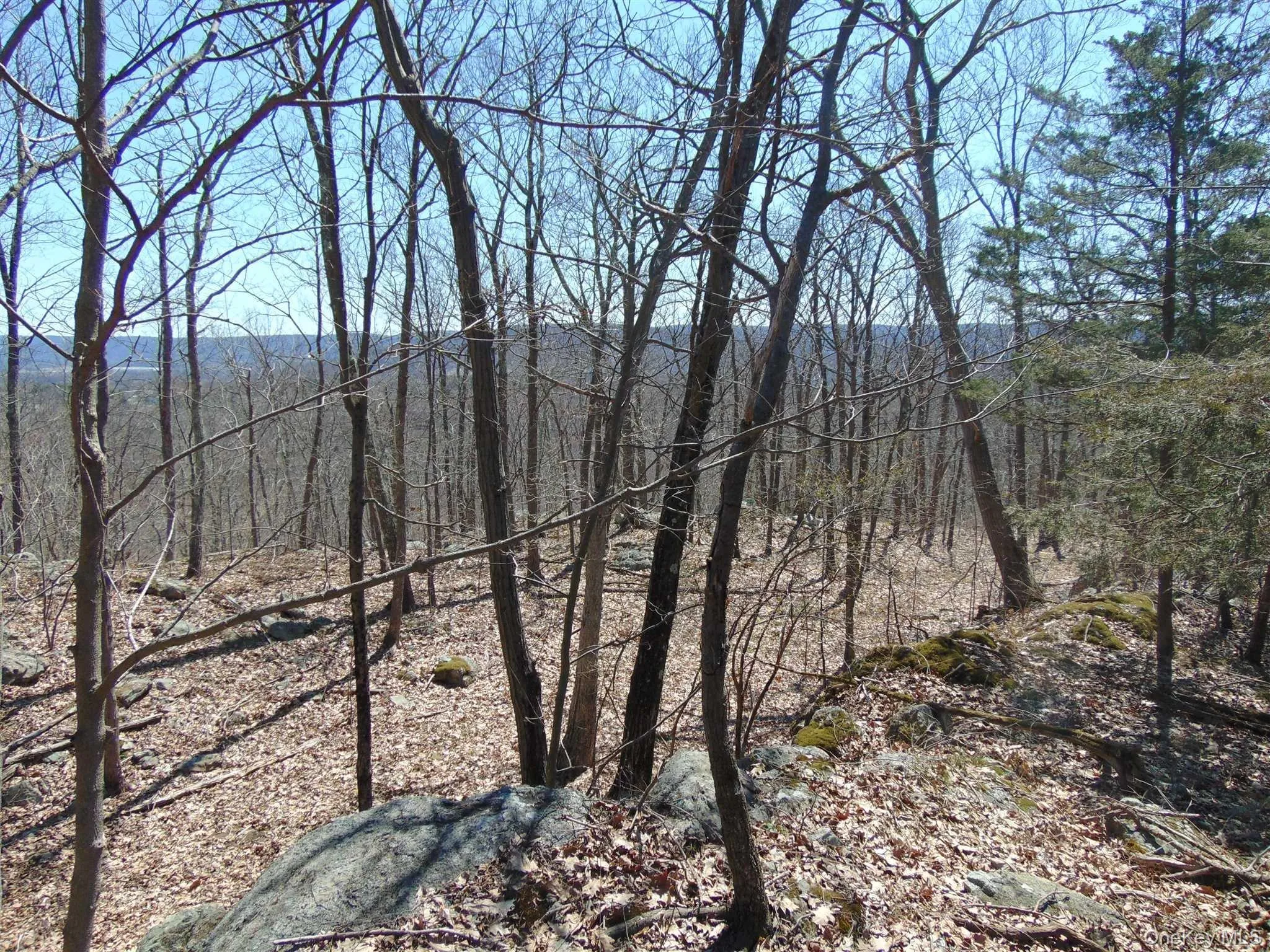 382 CEDAR HILL Road, Wappinger, NY, ,Land,For Rent,CEDAR HILL,0,1003271 382 CEDAR HILL Road, Wappinger, NY, ,Land,For Rent,CEDAR HILL,0,1003271