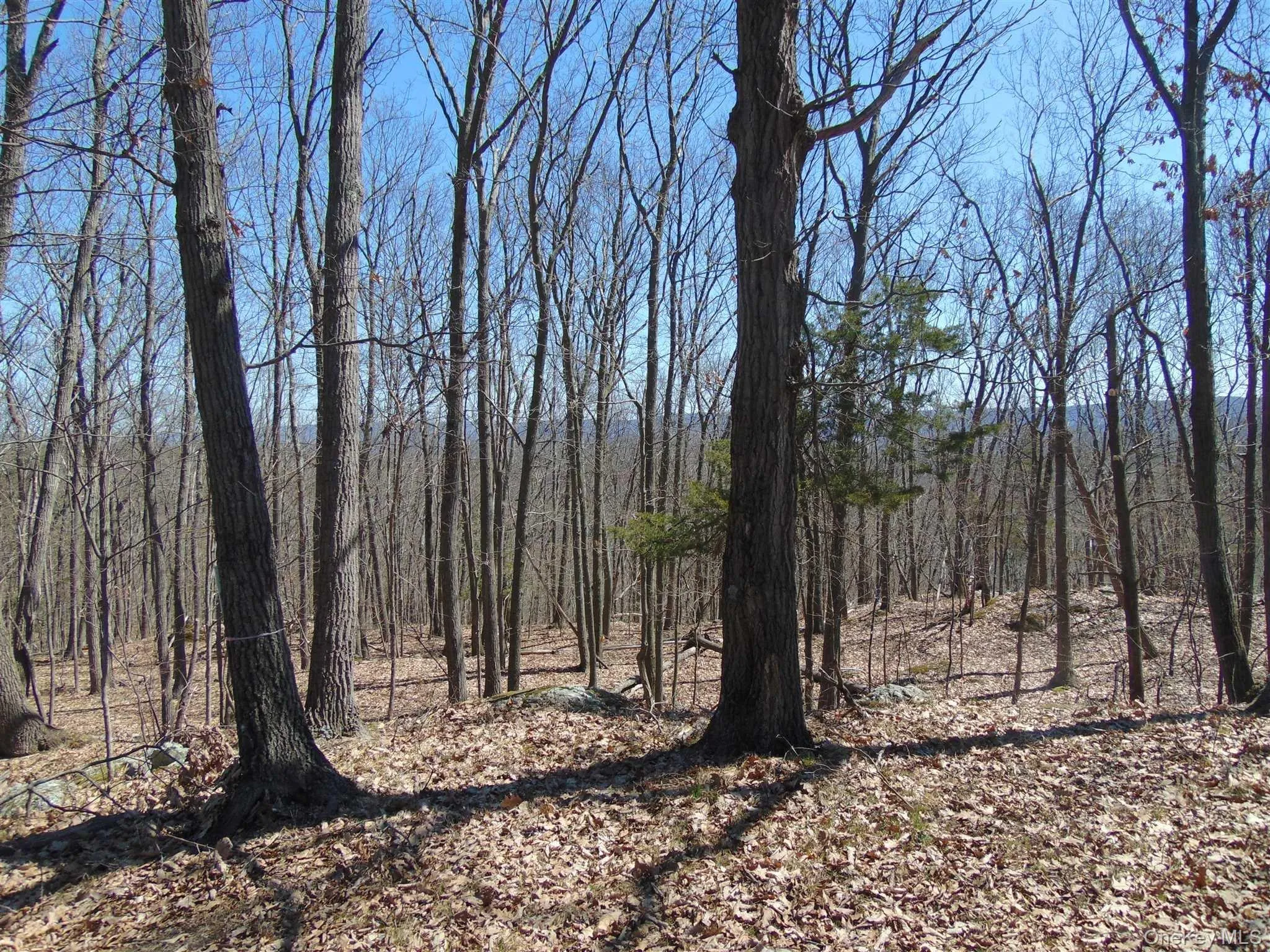 382 CEDAR HILL Road, Wappinger, NY, ,Land,For Rent,CEDAR HILL,0,1003271 382 CEDAR HILL Road, Wappinger, NY, ,Land,For Rent,CEDAR HILL,0,1003271