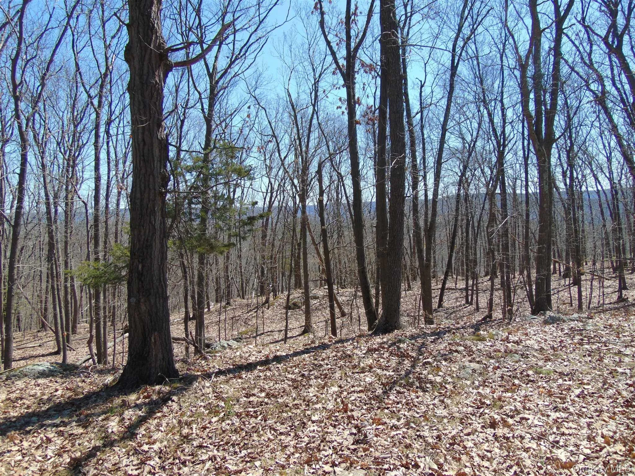 382 CEDAR HILL Road, Wappinger, NY, ,Land,For Rent,CEDAR HILL,0,1003271 382 CEDAR HILL Road, Wappinger, NY, ,Land,For Rent,CEDAR HILL,0,1003271