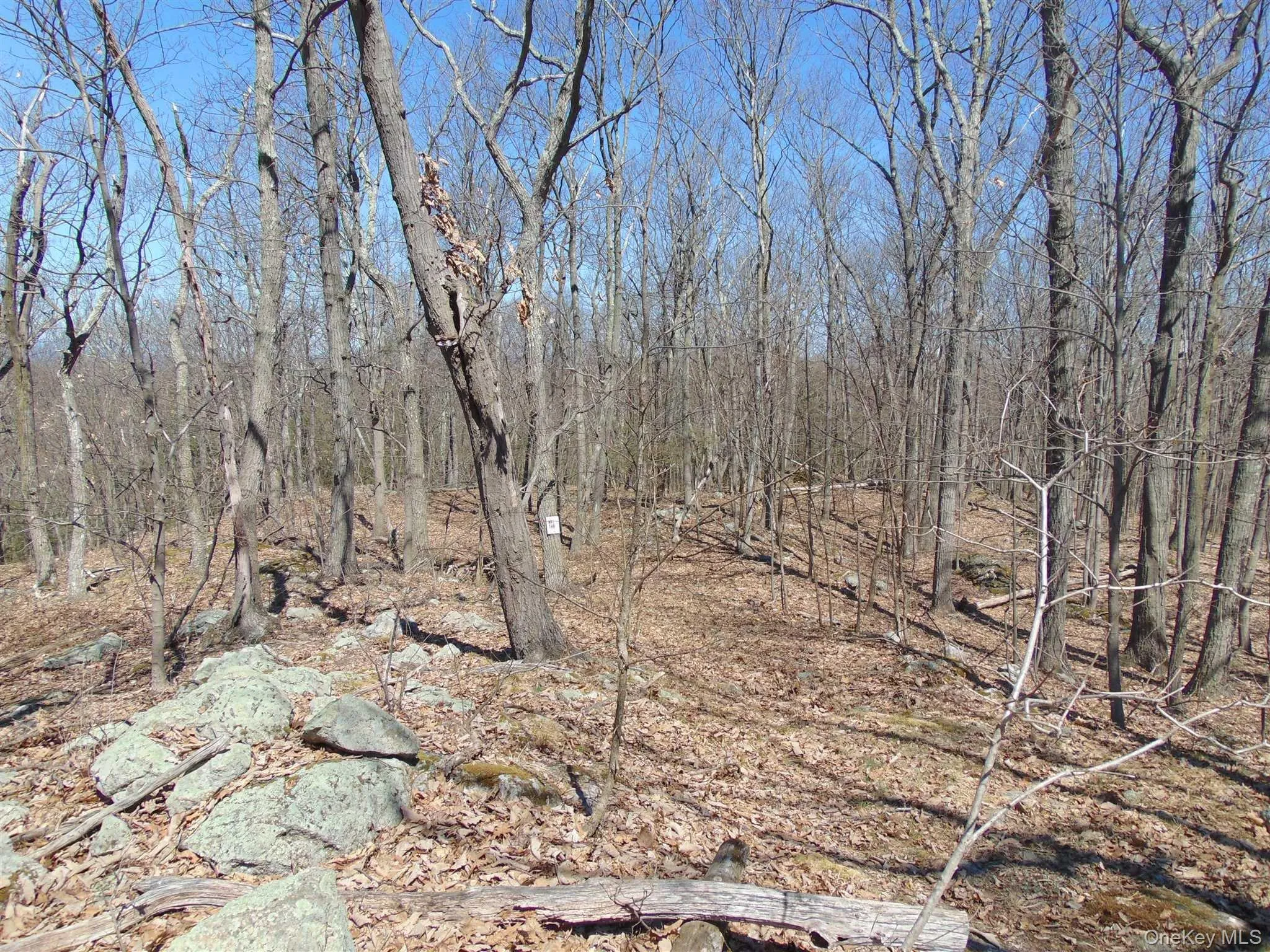 382 CEDAR HILL Road, Wappinger, NY, ,Land,For Rent,CEDAR HILL,0,1003271 382 CEDAR HILL Road, Wappinger, NY, ,Land,For Rent,CEDAR HILL,0,1003271