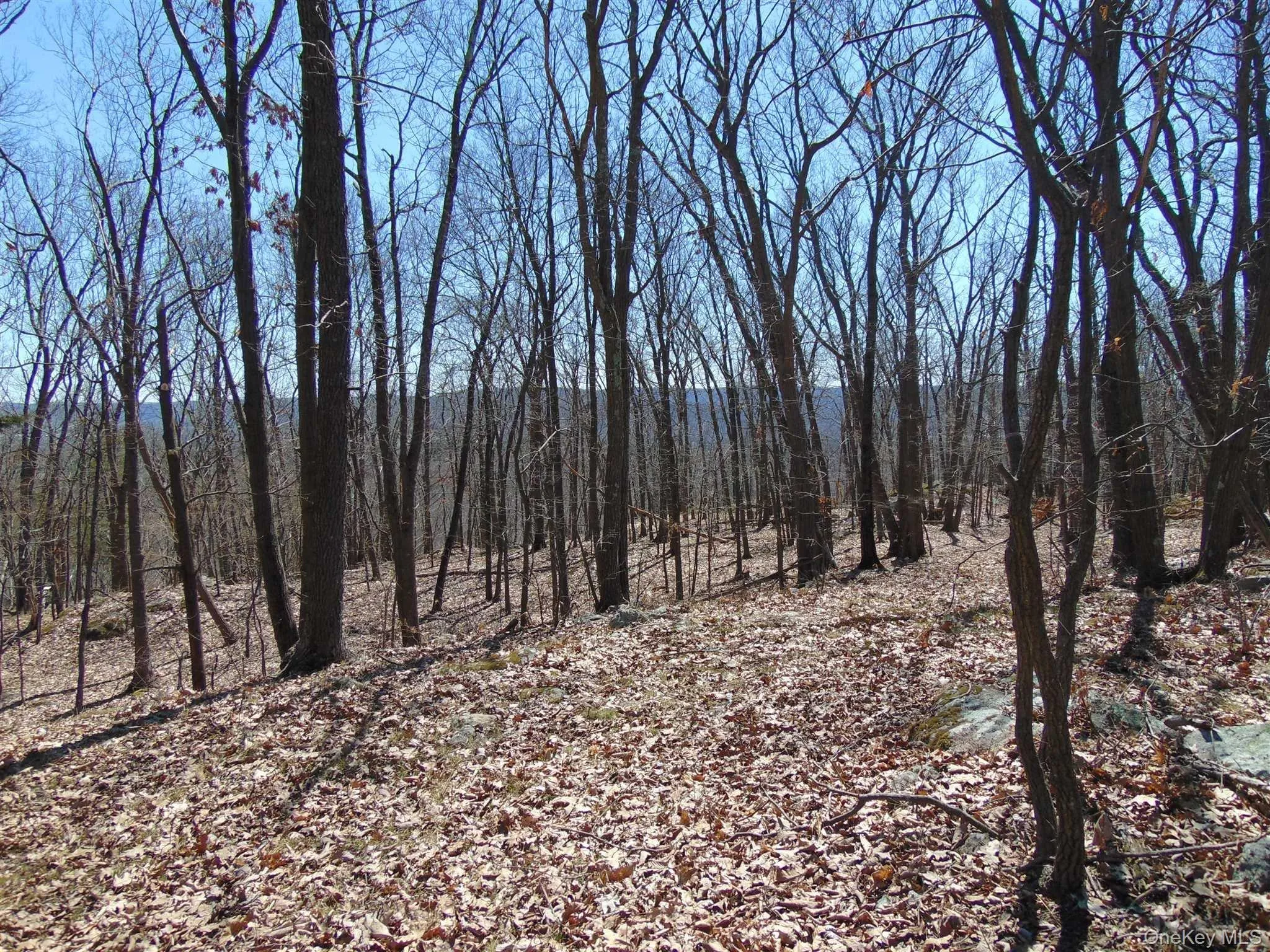 382 CEDAR HILL Road, Wappinger, NY, ,Land,For Rent,CEDAR HILL,0,1003271 382 CEDAR HILL Road, Wappinger, NY, ,Land,For Rent,CEDAR HILL,0,1003271
