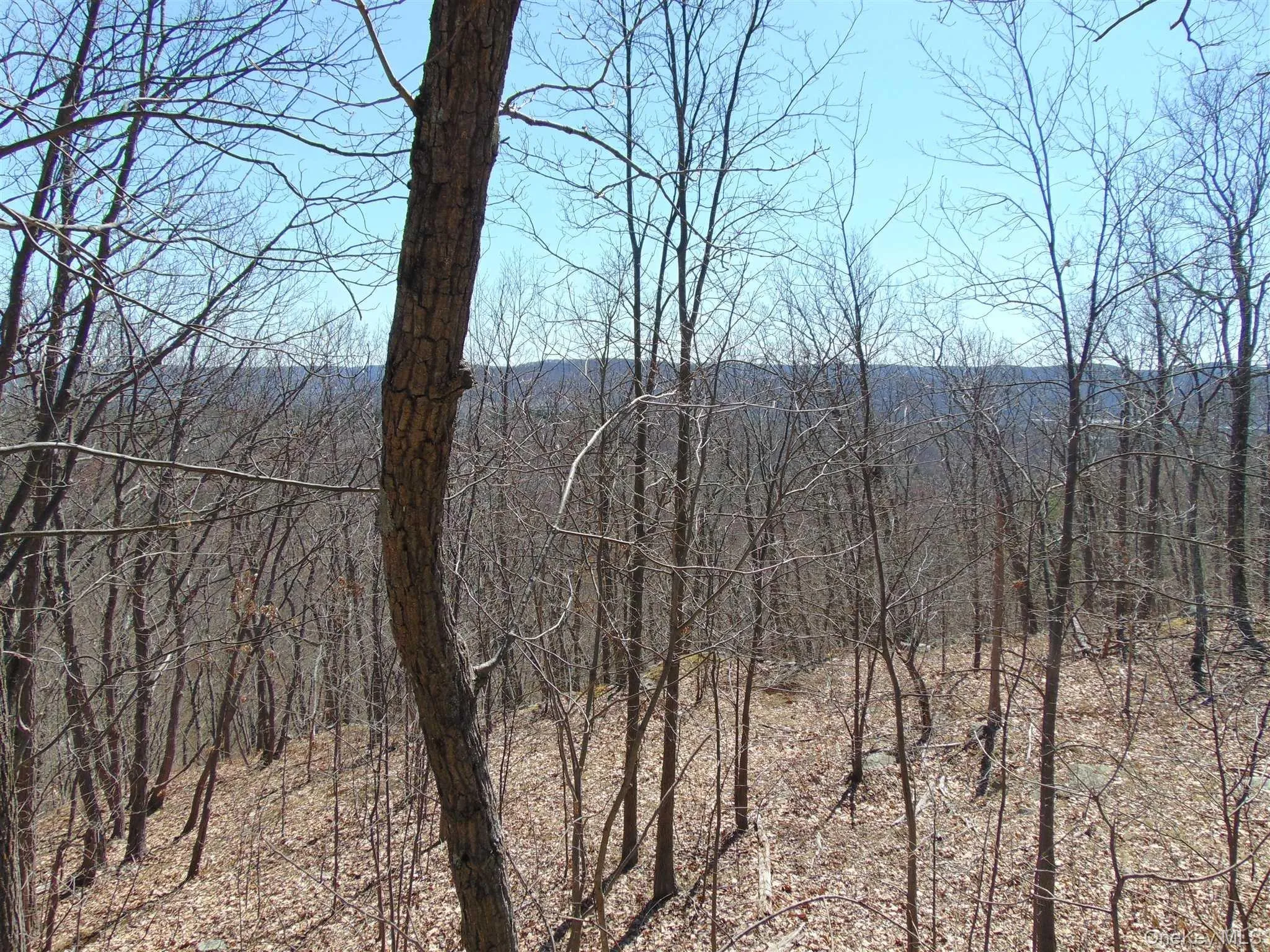 382 CEDAR HILL Road, Wappinger, NY, ,Land,For Rent,CEDAR HILL,0,1003271 382 CEDAR HILL Road, Wappinger, NY, ,Land,For Rent,CEDAR HILL,0,1003271