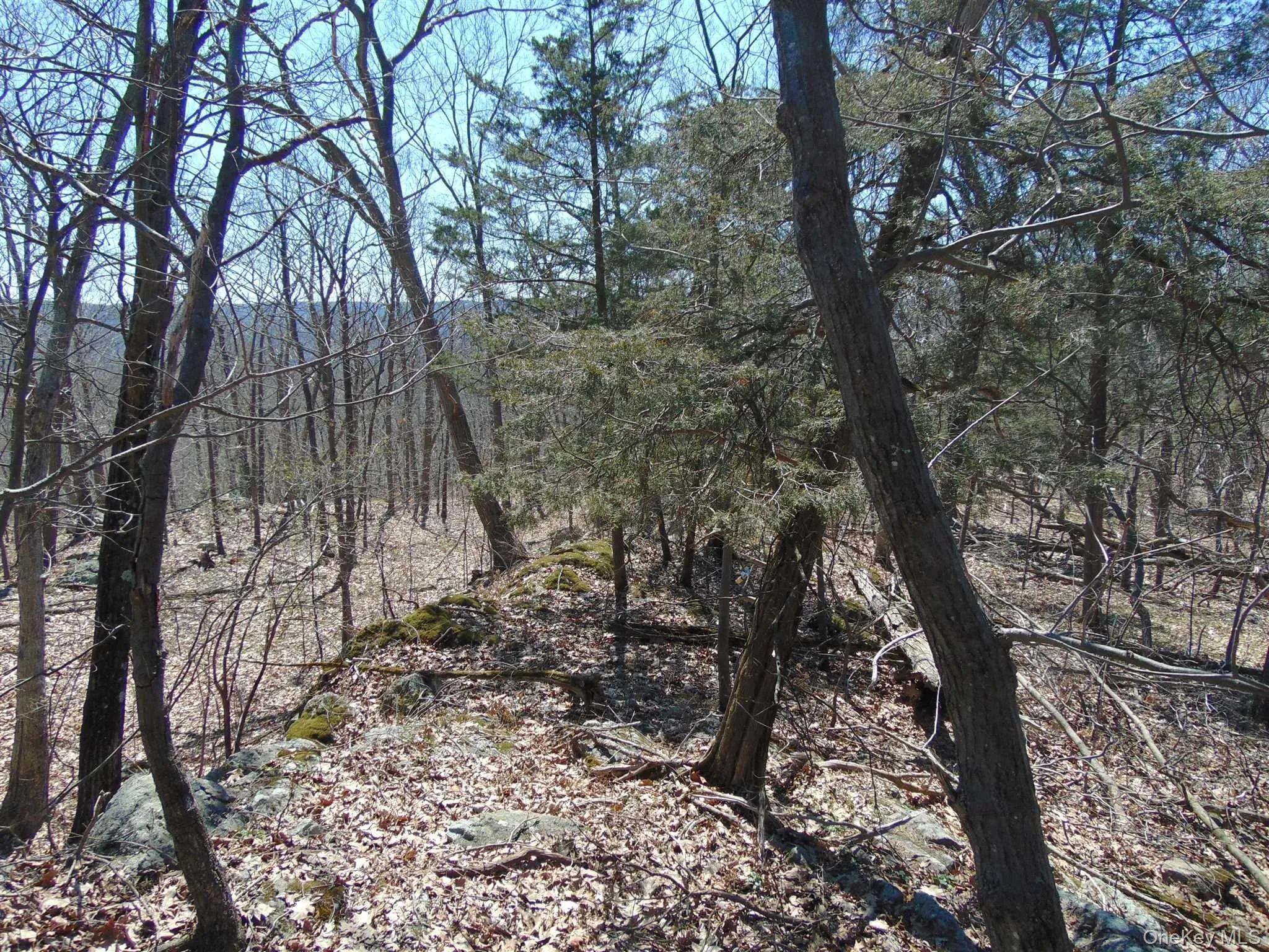 382 CEDAR HILL Road, Wappinger, NY, ,Land,For Rent,CEDAR HILL,0,1003271 382 CEDAR HILL Road, Wappinger, NY, ,Land,For Rent,CEDAR HILL,0,1003271
