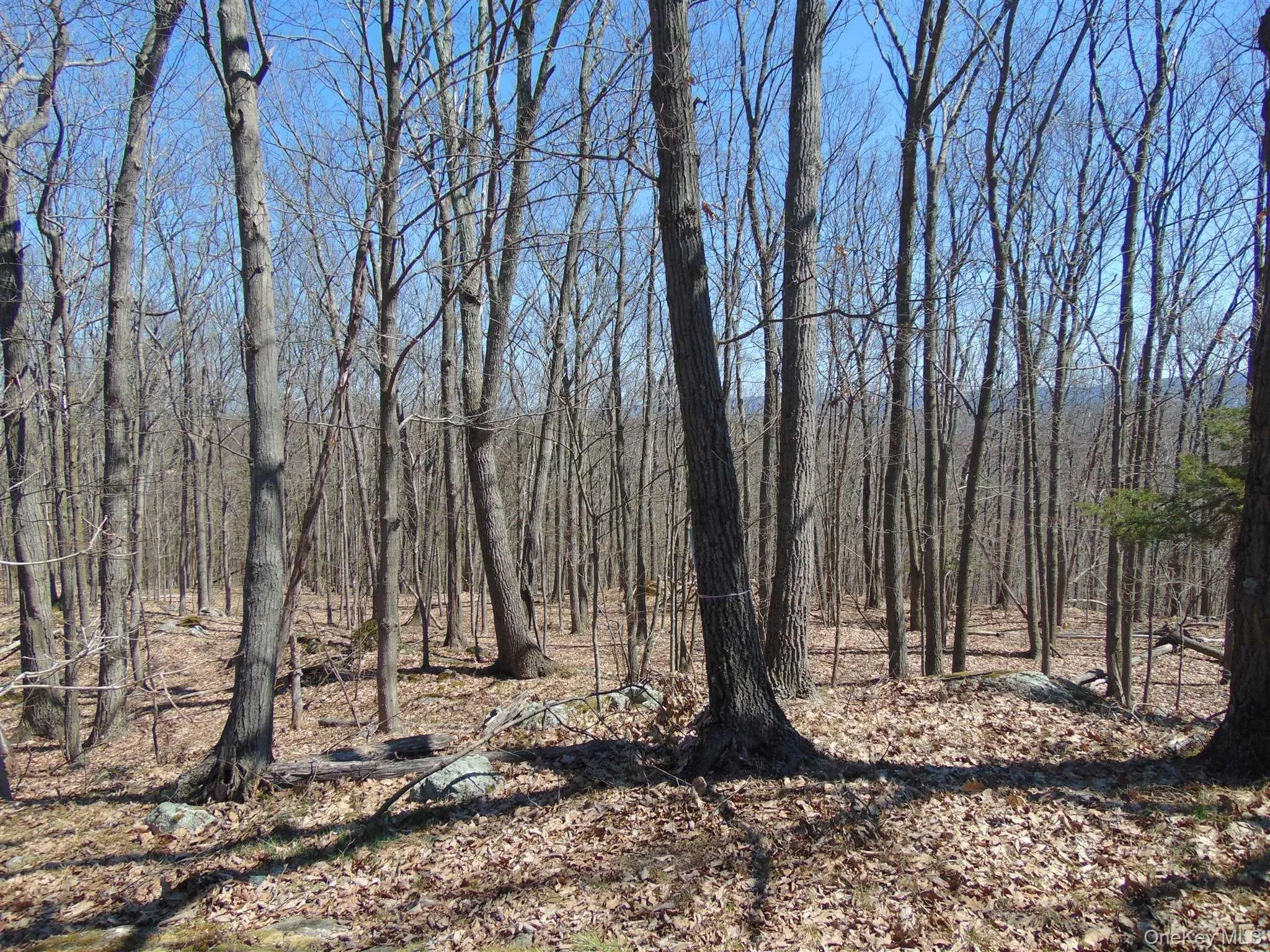 382 CEDAR HILL Road, Wappinger, NY, ,Land,For Rent,CEDAR HILL,0,1003271 382 CEDAR HILL Road, Wappinger, NY, ,Land,For Rent,CEDAR HILL,0,1003271