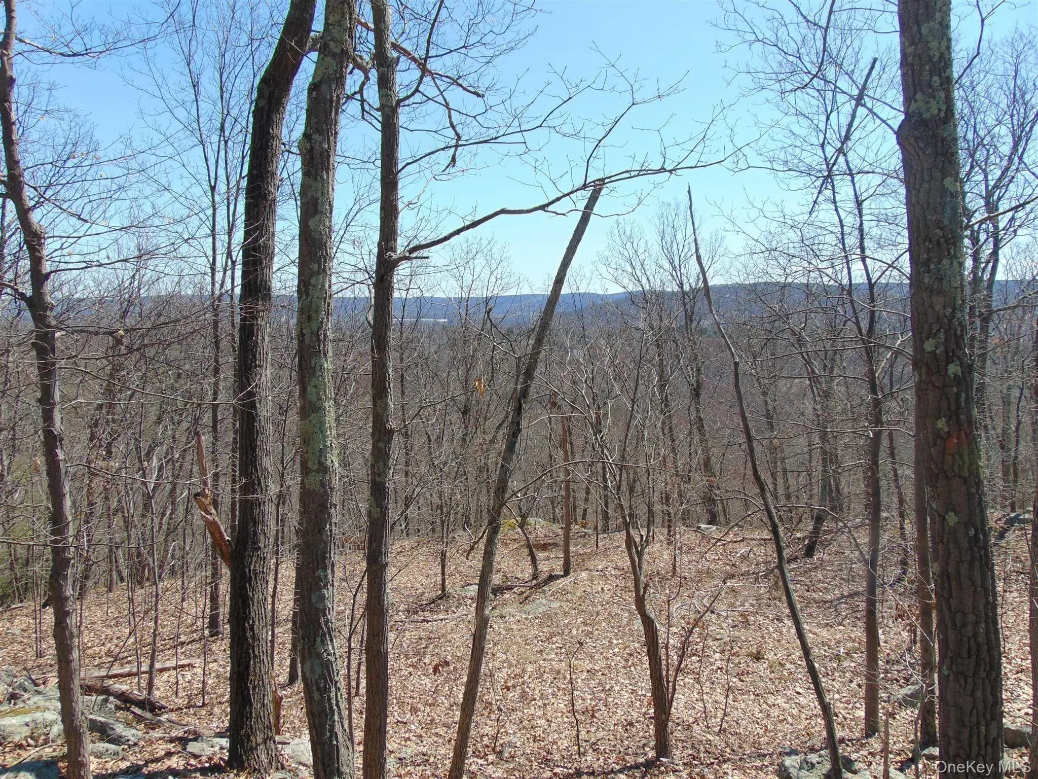 382 CEDAR HILL Road, Wappinger, NY, ,Land,For Rent,CEDAR HILL,0,1003271 382 CEDAR HILL Road, Wappinger, NY, ,Land,For Rent,CEDAR HILL,0,1003271