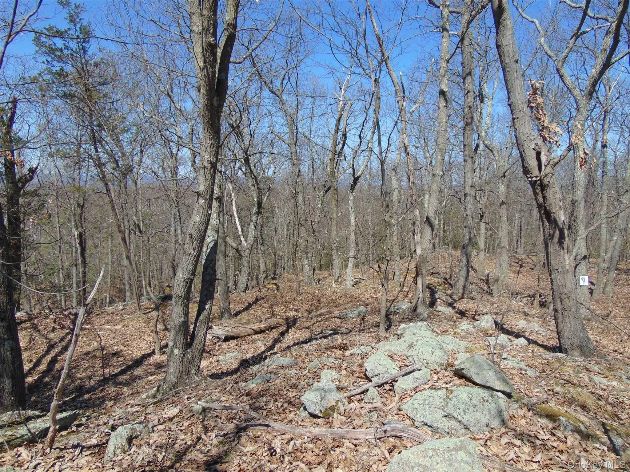 382 CEDAR HILL Road, Wappinger, NY, ,Land,For Rent,CEDAR HILL,0,1003271 382 CEDAR HILL Road, Wappinger, NY, ,Land,For Rent,CEDAR HILL,0,1003271