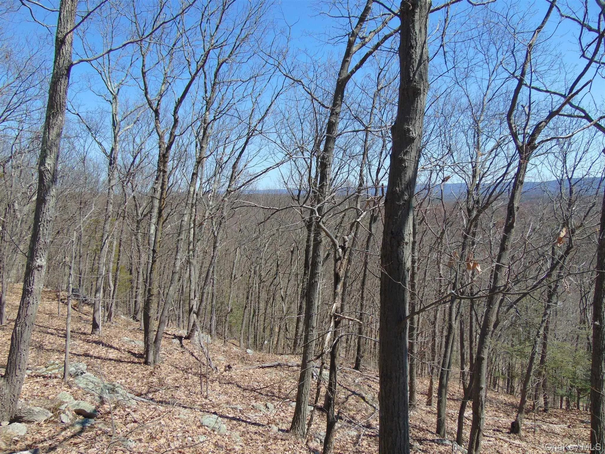 382 CEDAR HILL Road, Wappinger, NY, ,Land,For Rent,CEDAR HILL,0,1003271 382 CEDAR HILL Road, Wappinger, NY, ,Land,For Rent,CEDAR HILL,0,1003271