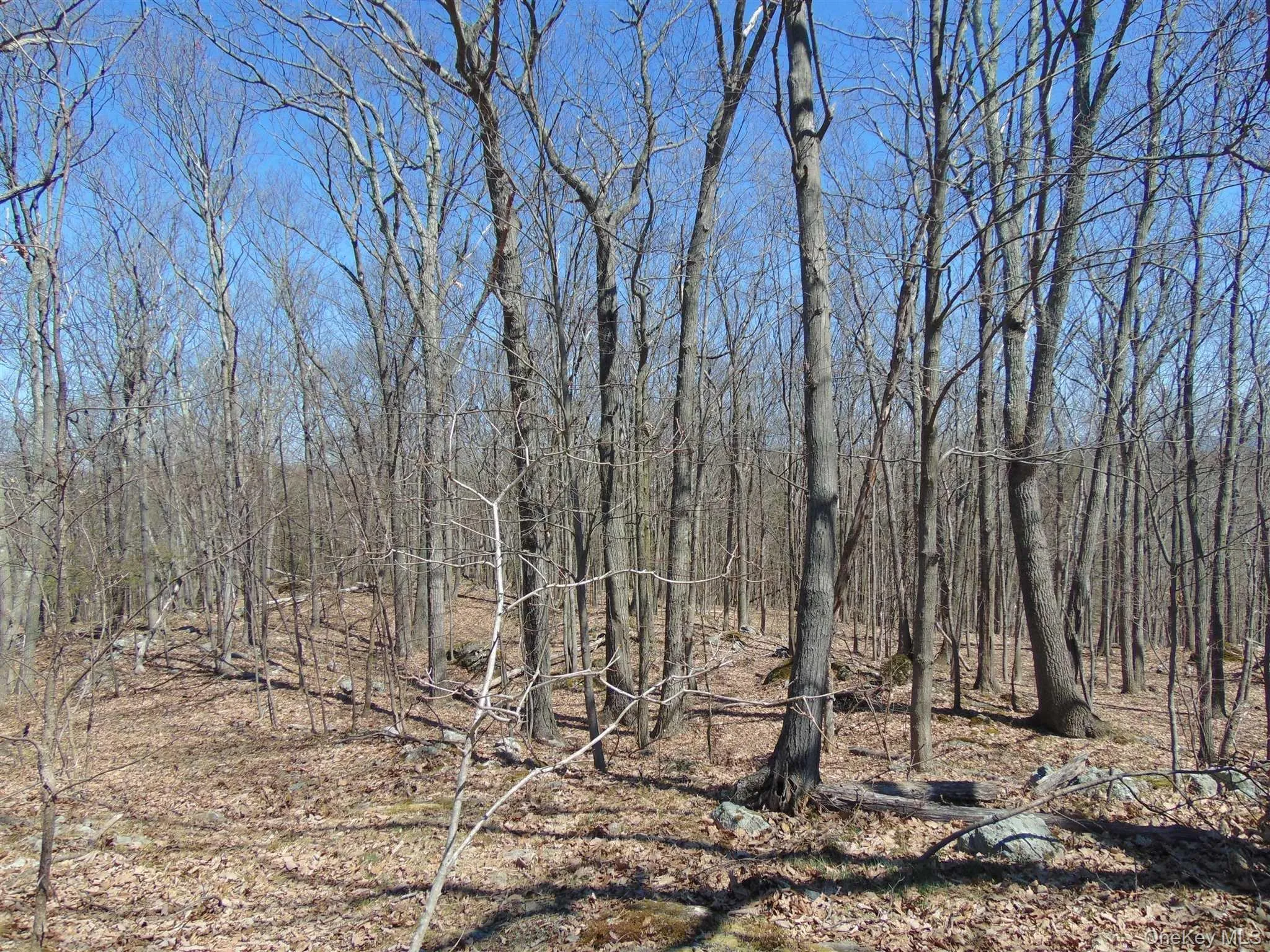 382 CEDAR HILL Road, Wappinger, NY, ,Land,For Rent,CEDAR HILL,0,1003271 382 CEDAR HILL Road, Wappinger, NY, ,Land,For Rent,CEDAR HILL,0,1003271