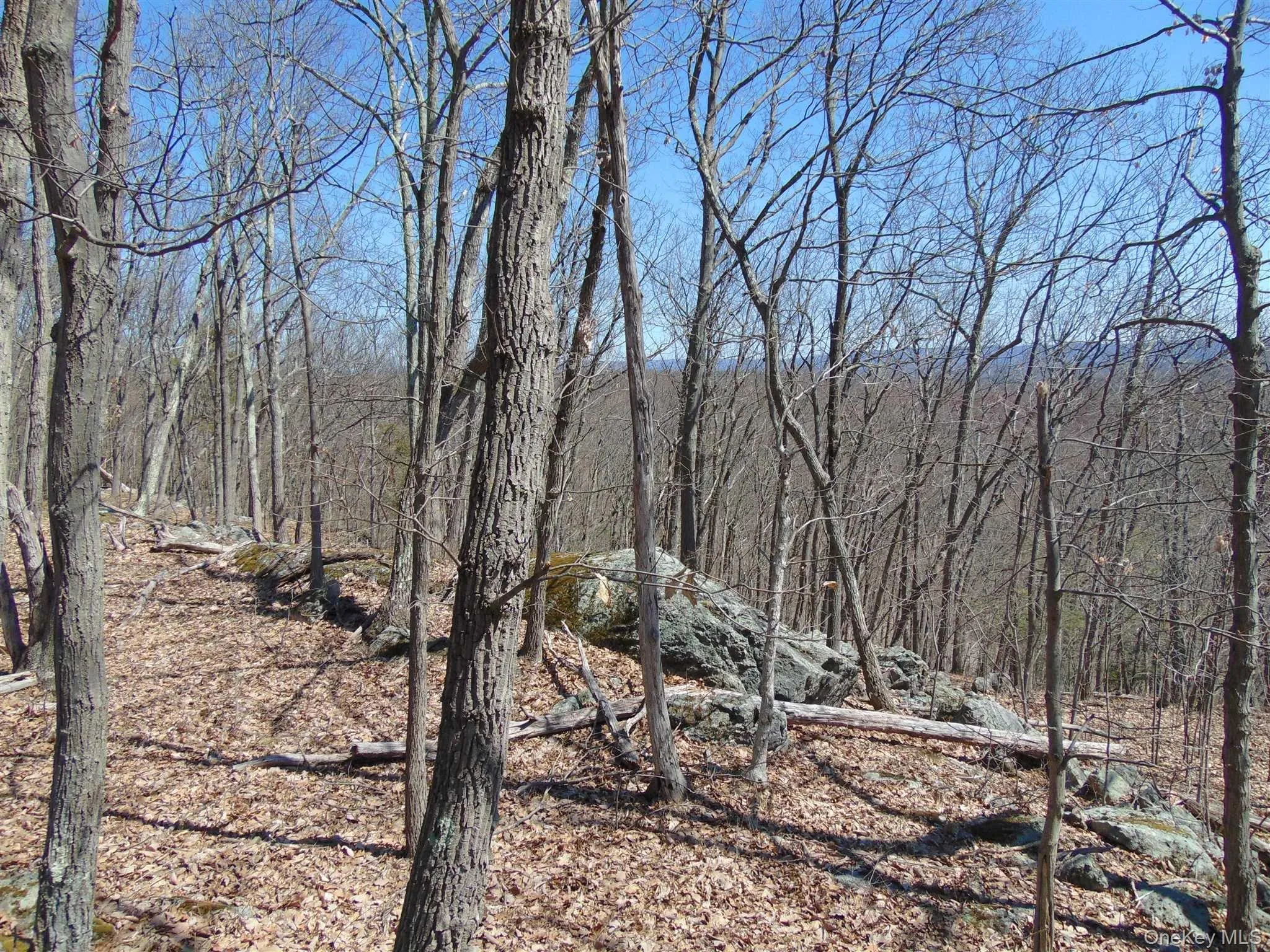 382 CEDAR HILL Road, Wappinger, NY, ,Land,For Rent,CEDAR HILL,0,1003271 382 CEDAR HILL Road, Wappinger, NY, ,Land,For Rent,CEDAR HILL,0,1003271