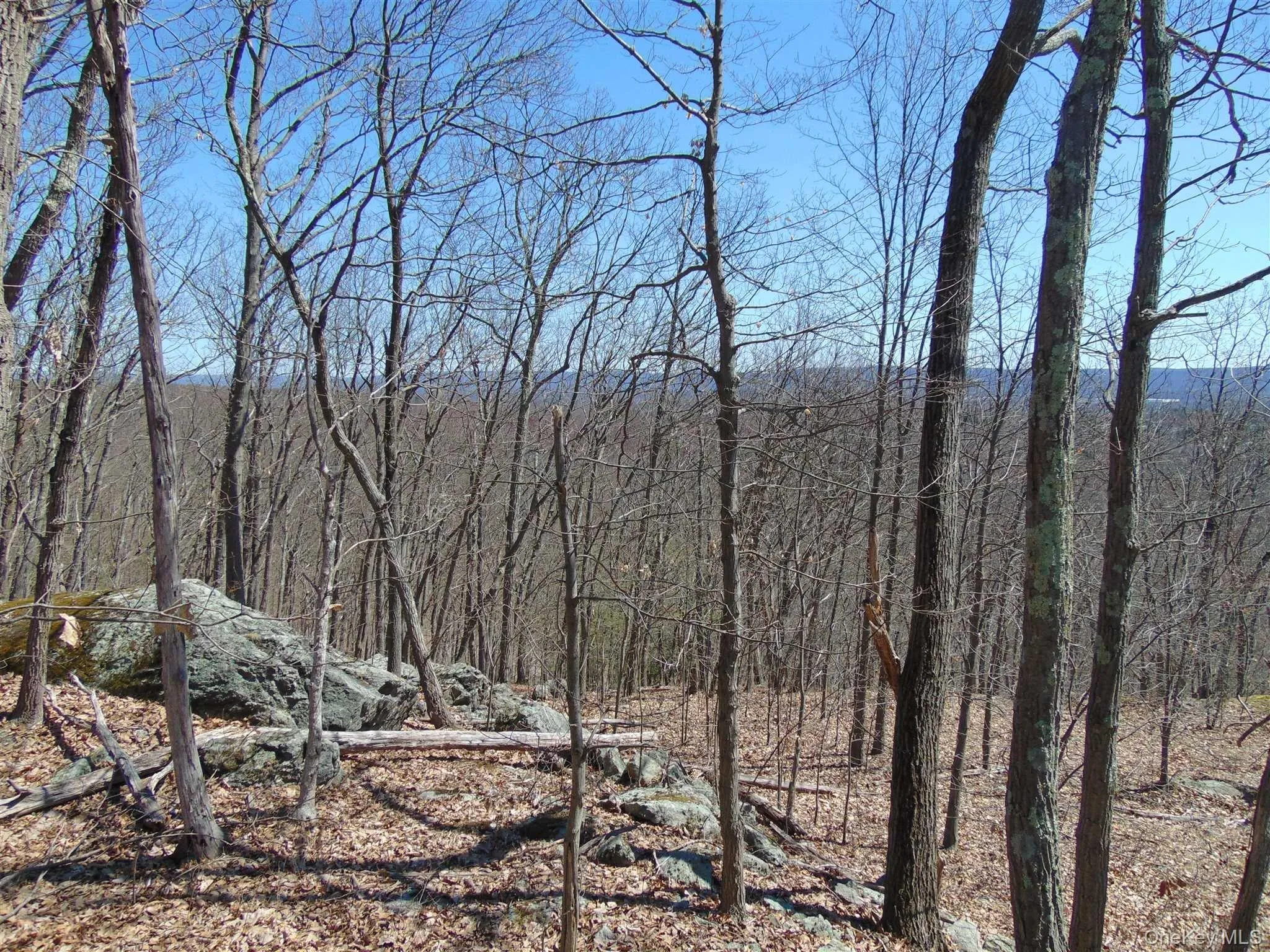 382 CEDAR HILL Road, Wappinger, NY, ,Land,For Rent,CEDAR HILL,0,1003271 382 CEDAR HILL Road, Wappinger, NY, ,Land,For Rent,CEDAR HILL,0,1003271