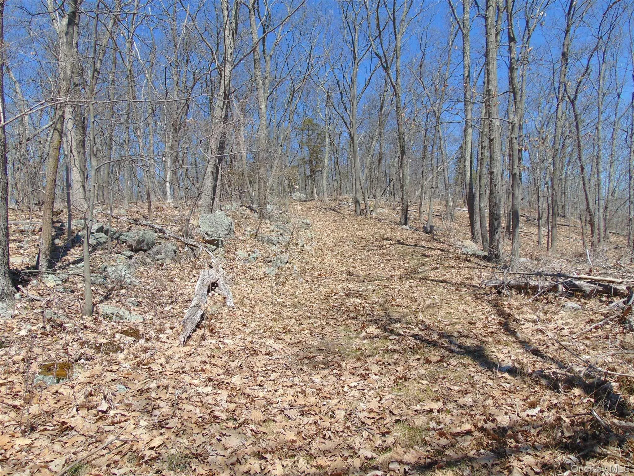 382 CEDAR HILL Road, Wappinger, NY, ,Land,For Rent,CEDAR HILL,0,1003271 382 CEDAR HILL Road, Wappinger, NY, ,Land,For Rent,CEDAR HILL,0,1003271