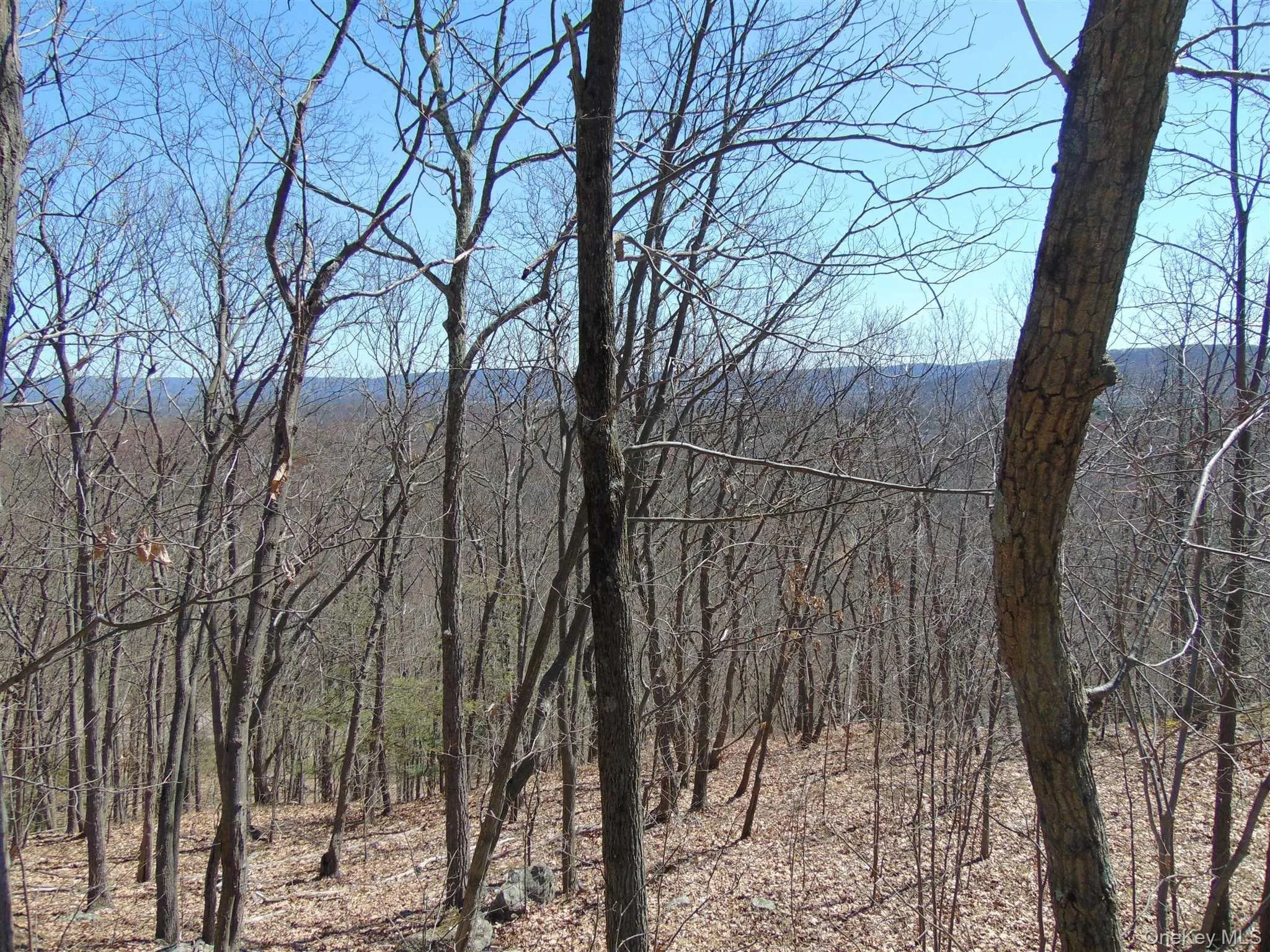 382 CEDAR HILL Road, Wappinger, NY, ,Land,For Rent,CEDAR HILL,0,1003271 382 CEDAR HILL Road, Wappinger, NY, ,Land,For Rent,CEDAR HILL,0,1003271